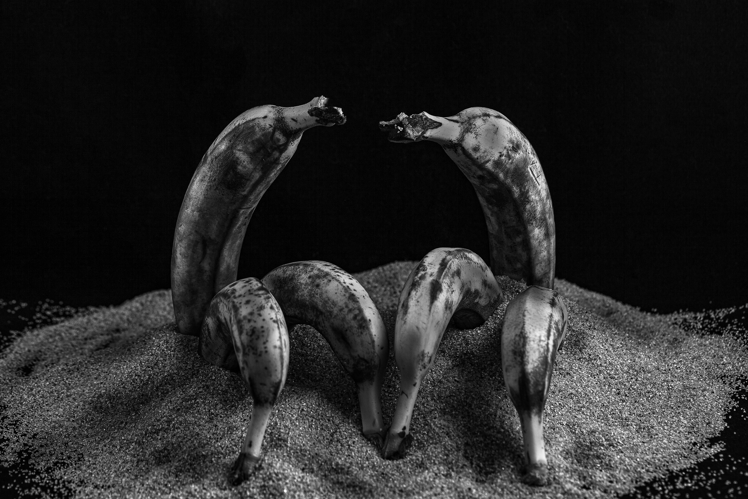 Красота тоже рядом с нами. Медиапродюсер, фотограф в Минеральных Водах —Виктор Холодов