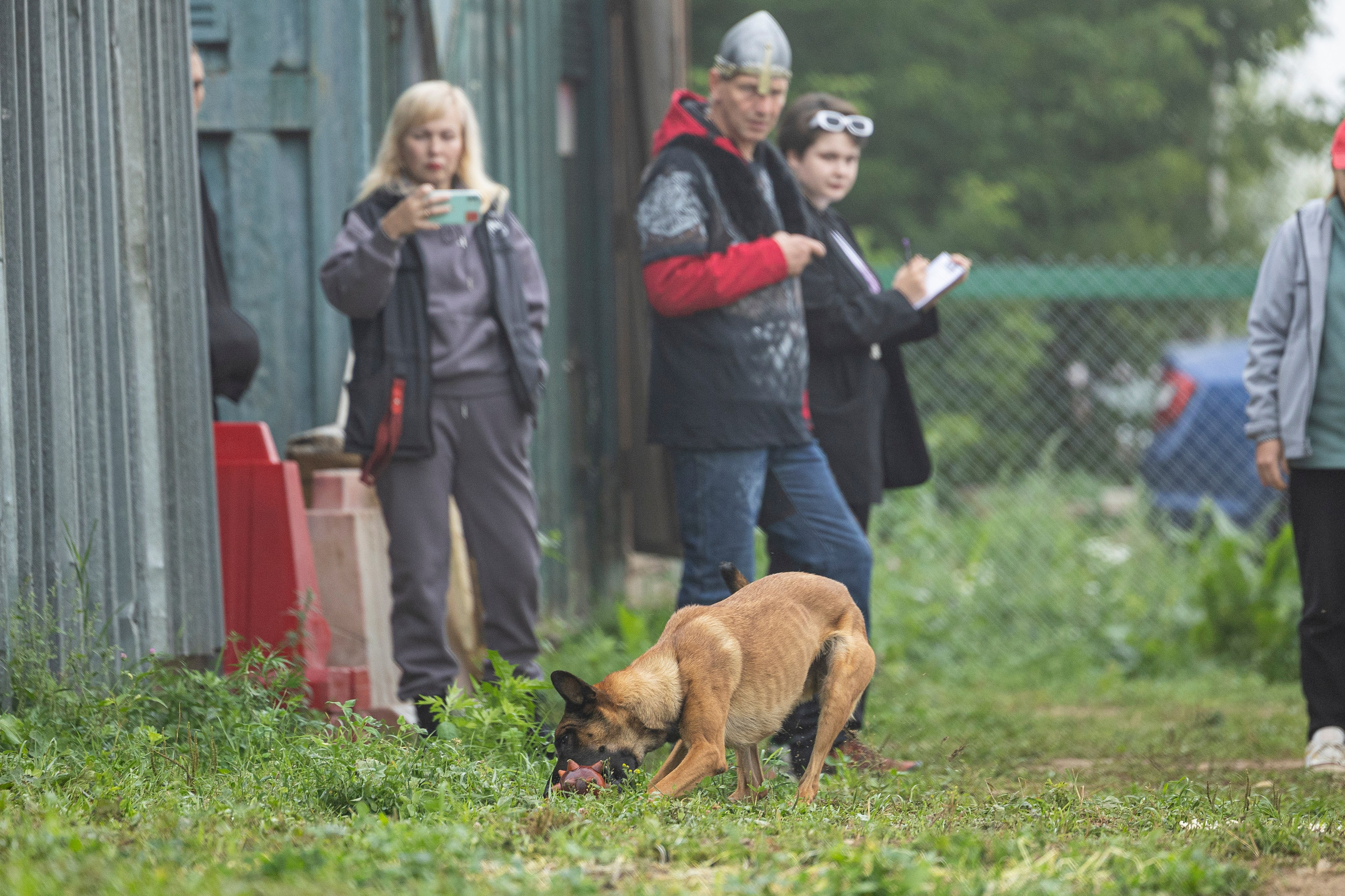 Соревнования по Мондьорингу г. Вологда 10-11.08.2024. Фотограф-анималист Анна Маринич