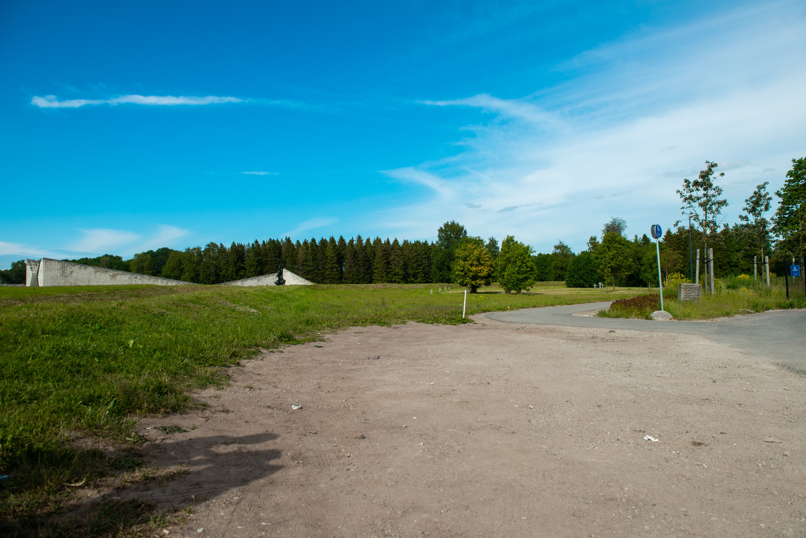 Лесополоса возле мемориала Маарьямяэ