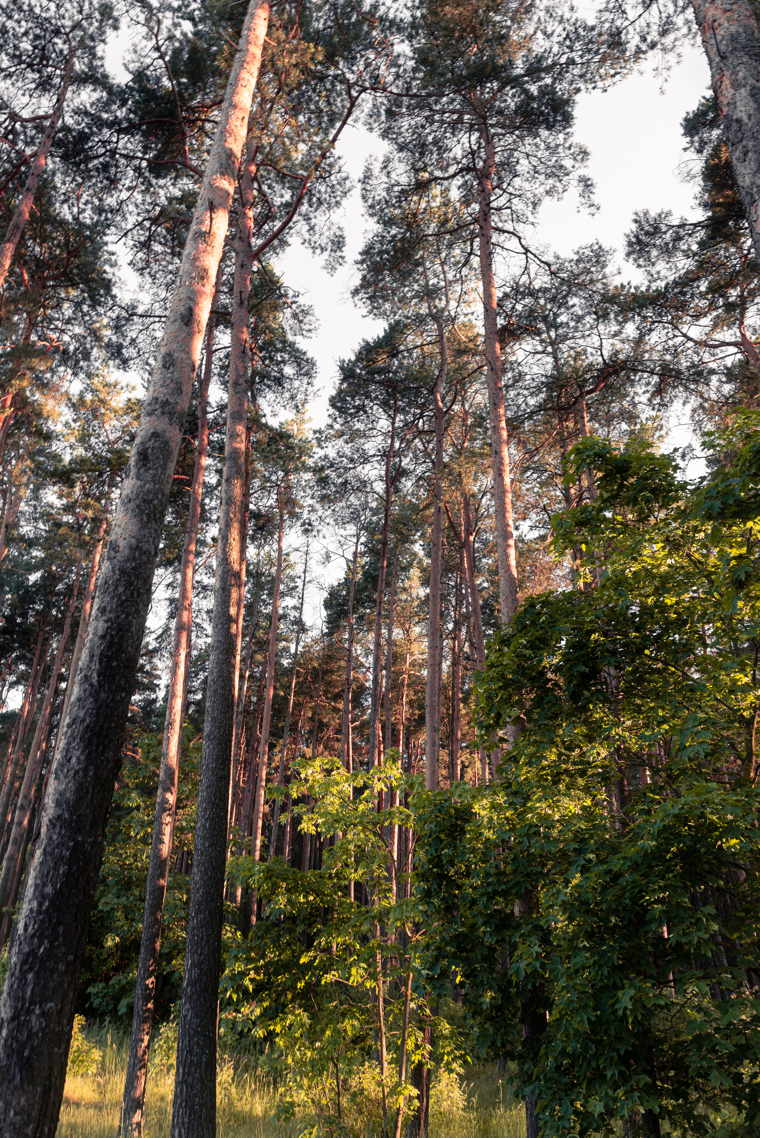 Валентин Бариков-фотограф Москва