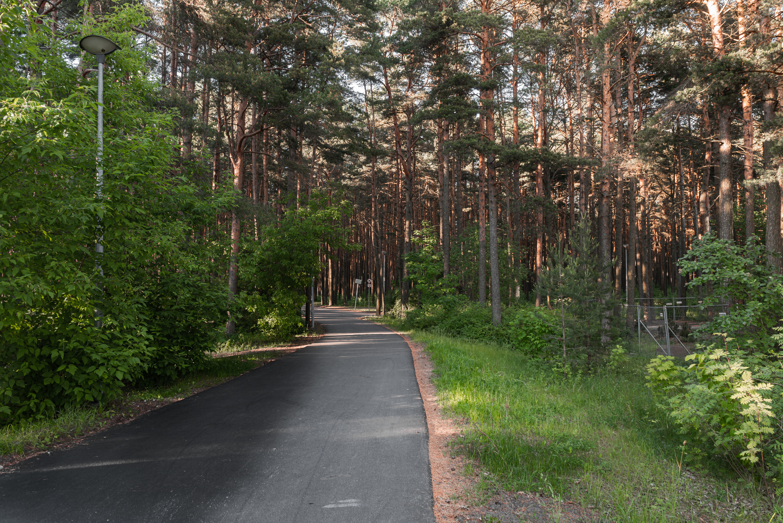 Валентин Бариков-фотограф Москва