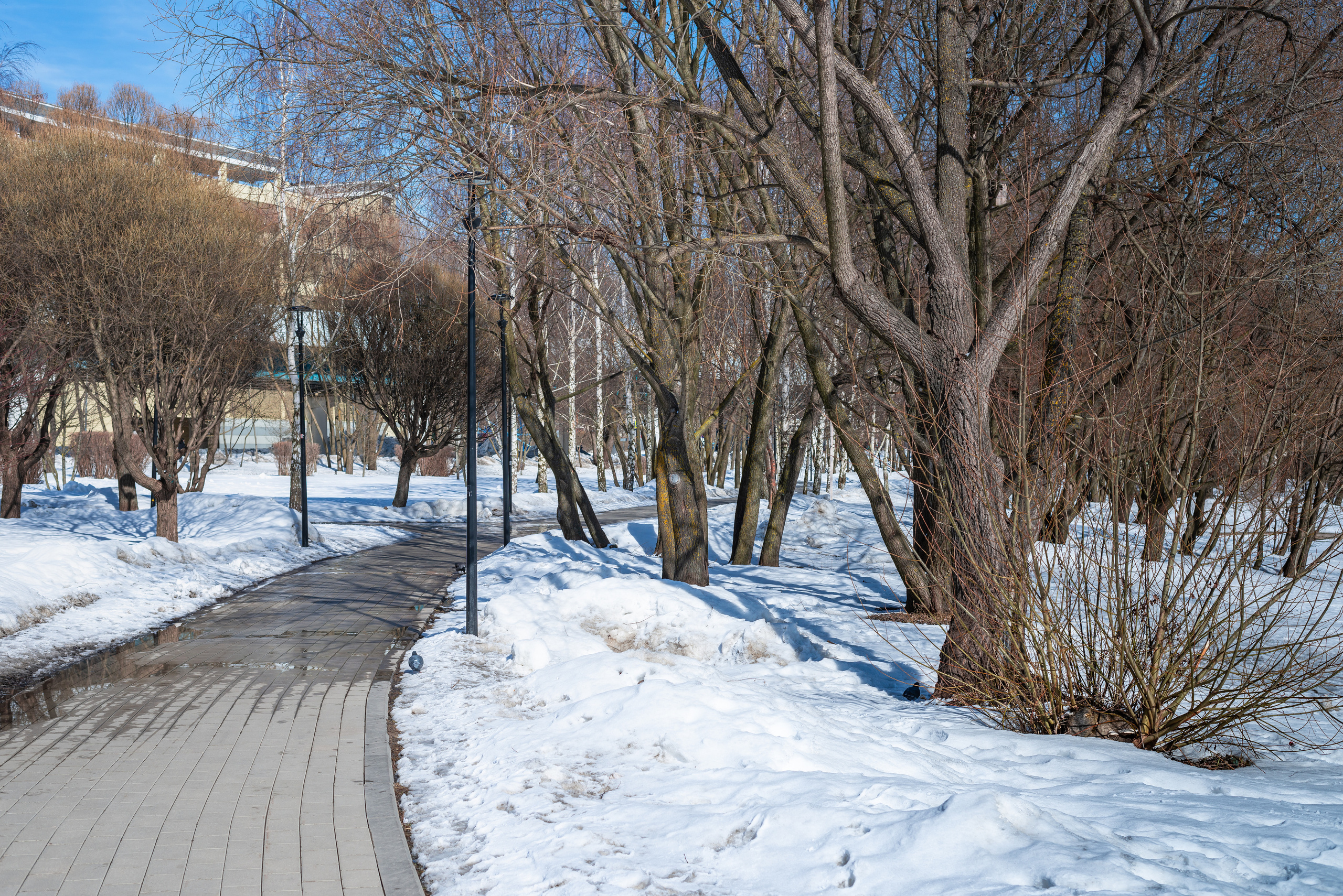 Photo walk around Russia. Valentyn Barikov-photographer Moscow