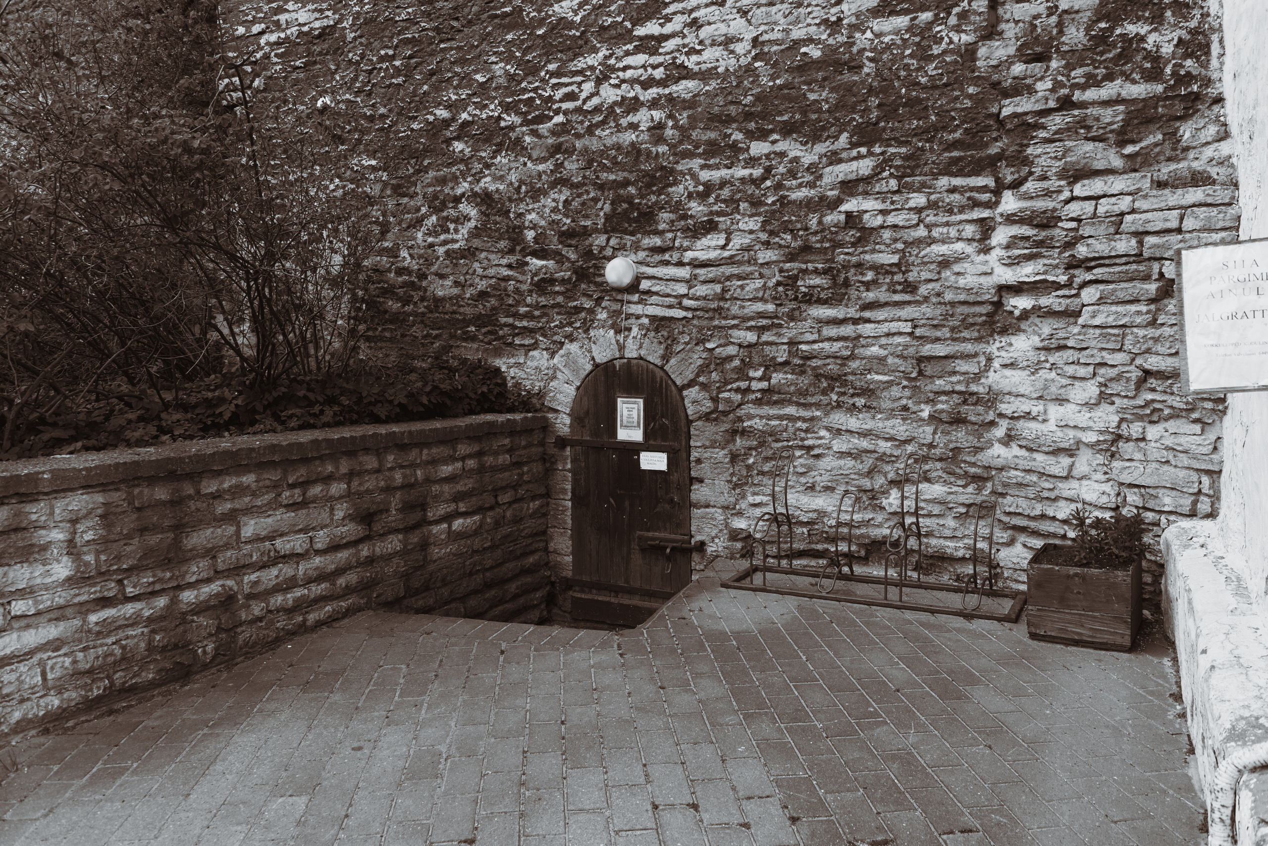 Таллинская городская стена Эстония