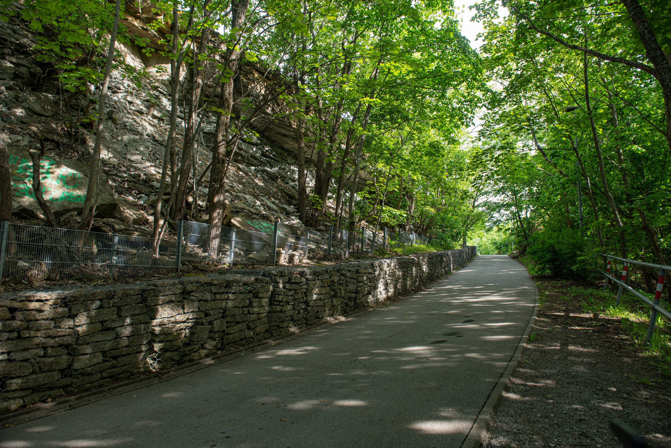 Летний пейзаж спуска к пляжу Пирита Эстония 