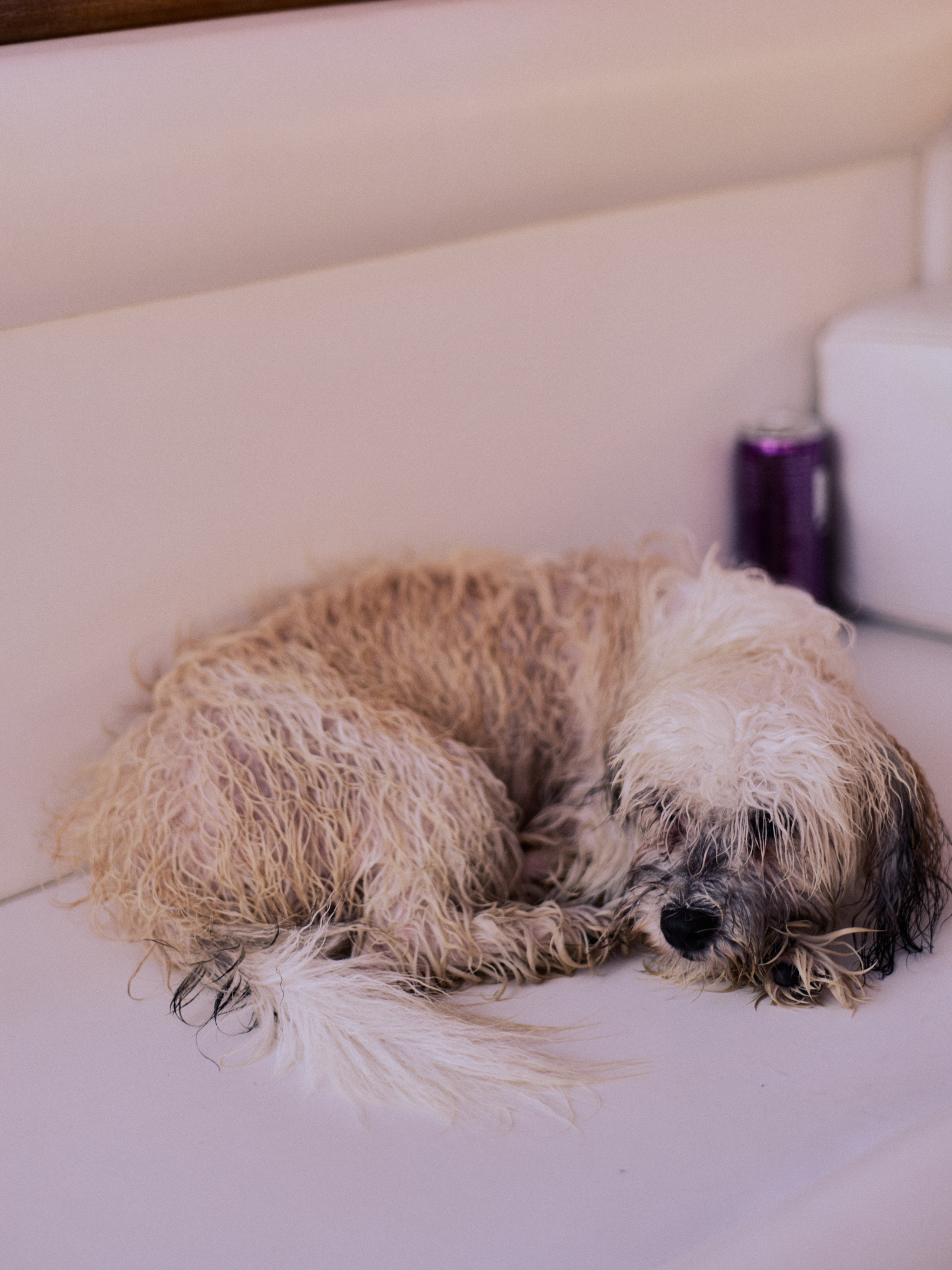 Другое 3. Jorgis Talè — photographer, kind person, teacher of arts and other mag