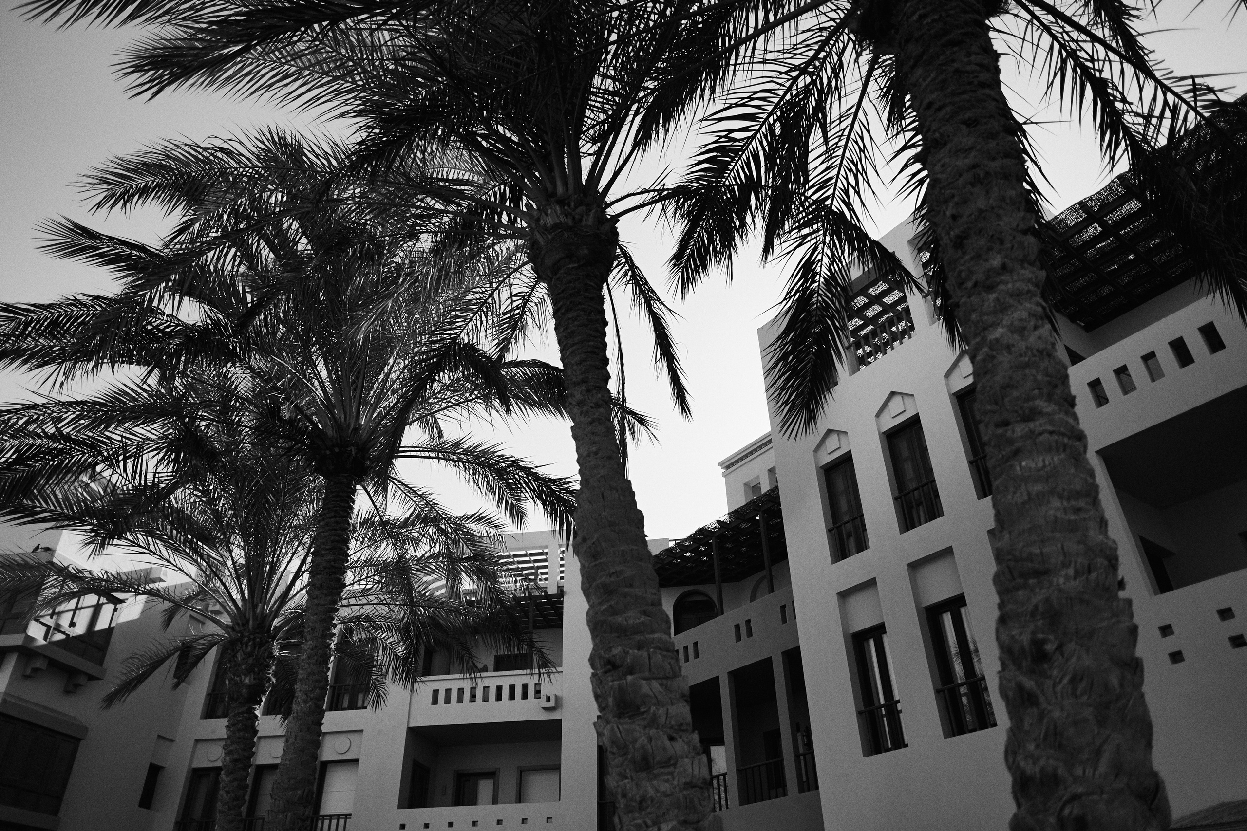 Другое 3. Jorgis Talè — photographer, kind person, teacher of arts and other mag