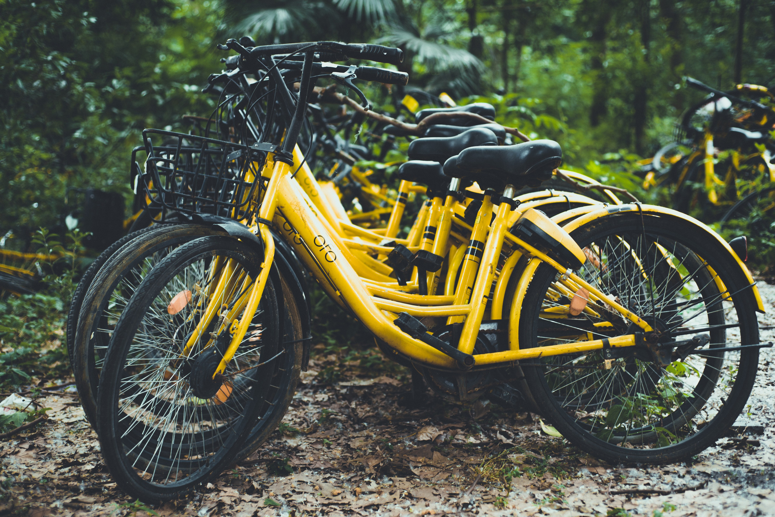 Рекламный фотограф из Гуанчжоу: путешествие по Уханю через объектив камеры. Коммерческий и предметный фотограф в Гуанчжоу Коваленко Александр