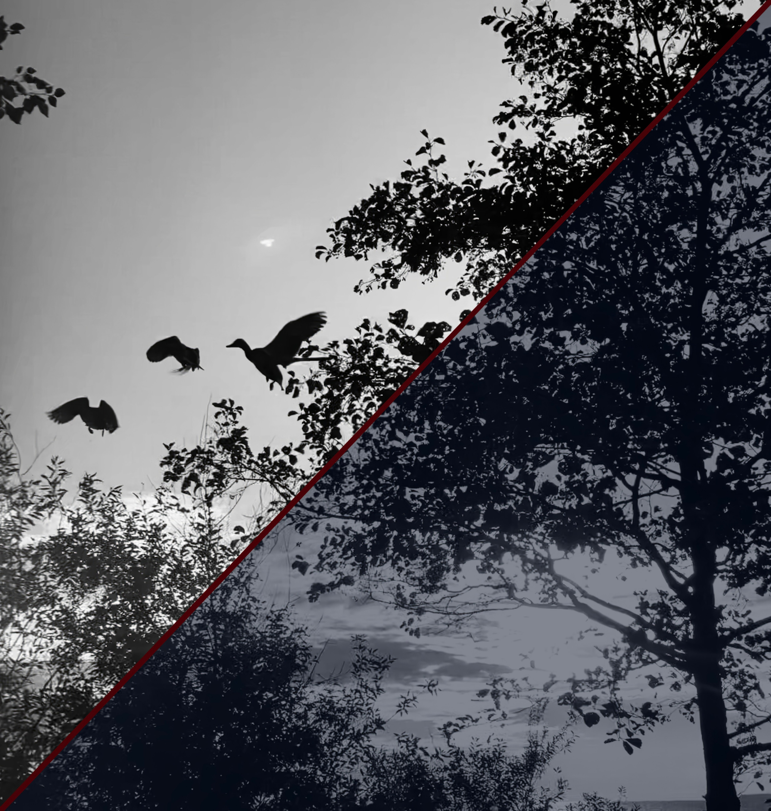 Нужное подчеркивание — авторская фотография Ма. Ма