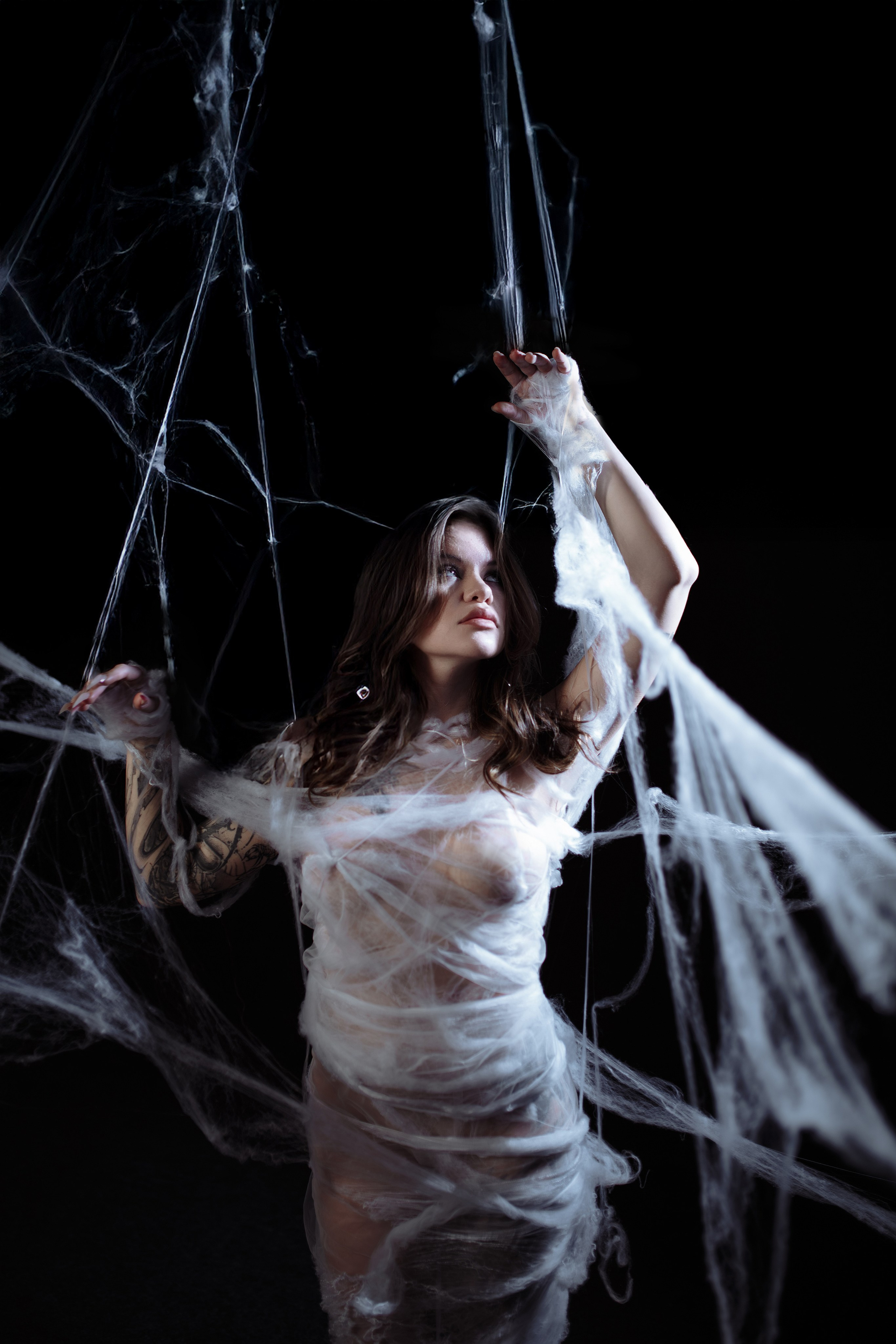 Diibae spider. Фотограф из Санкт-Петербурга Валерия Ленских