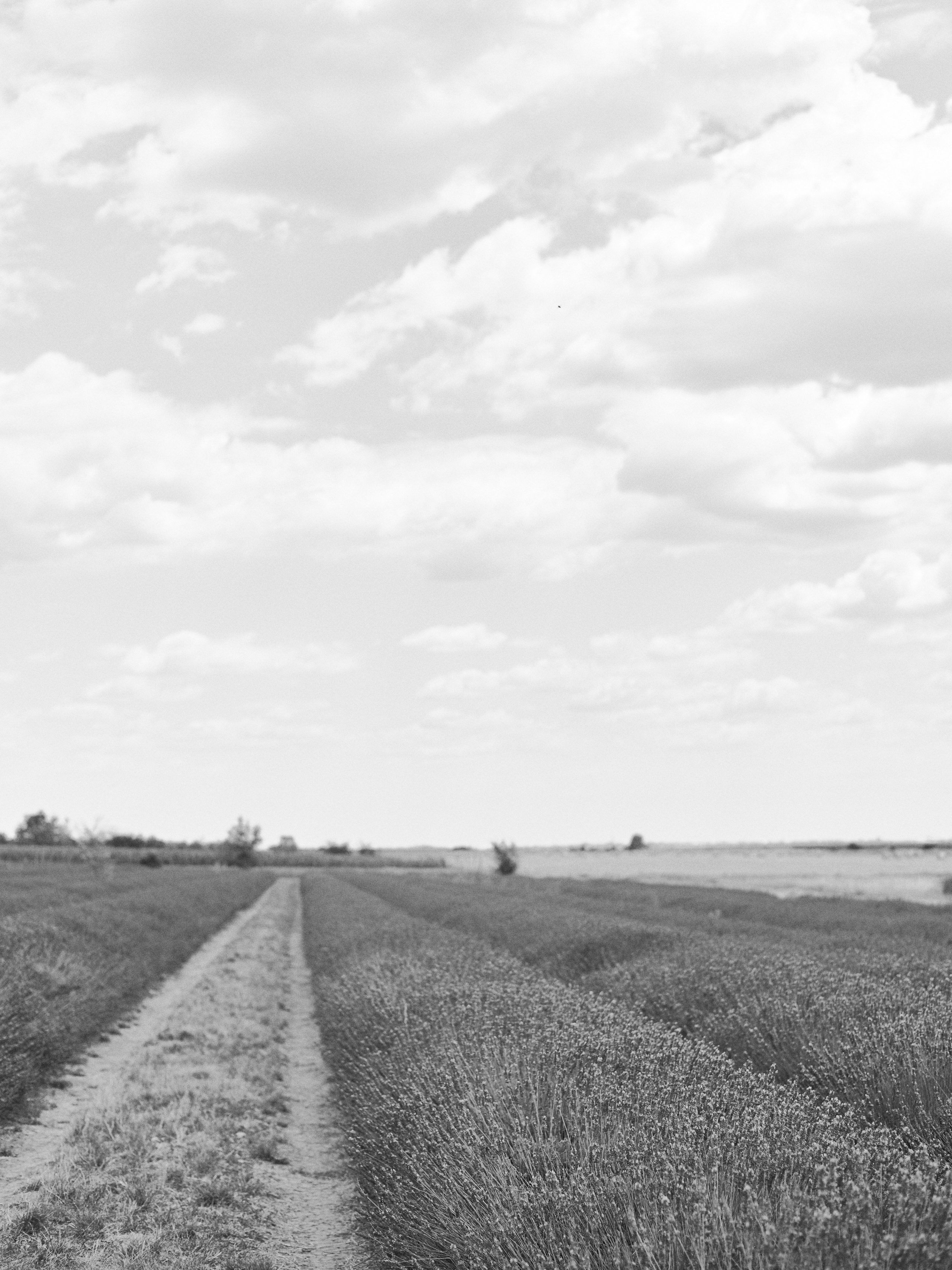 Другое 5. Jorgis — фотограф в Хургаде / обучение фотографии