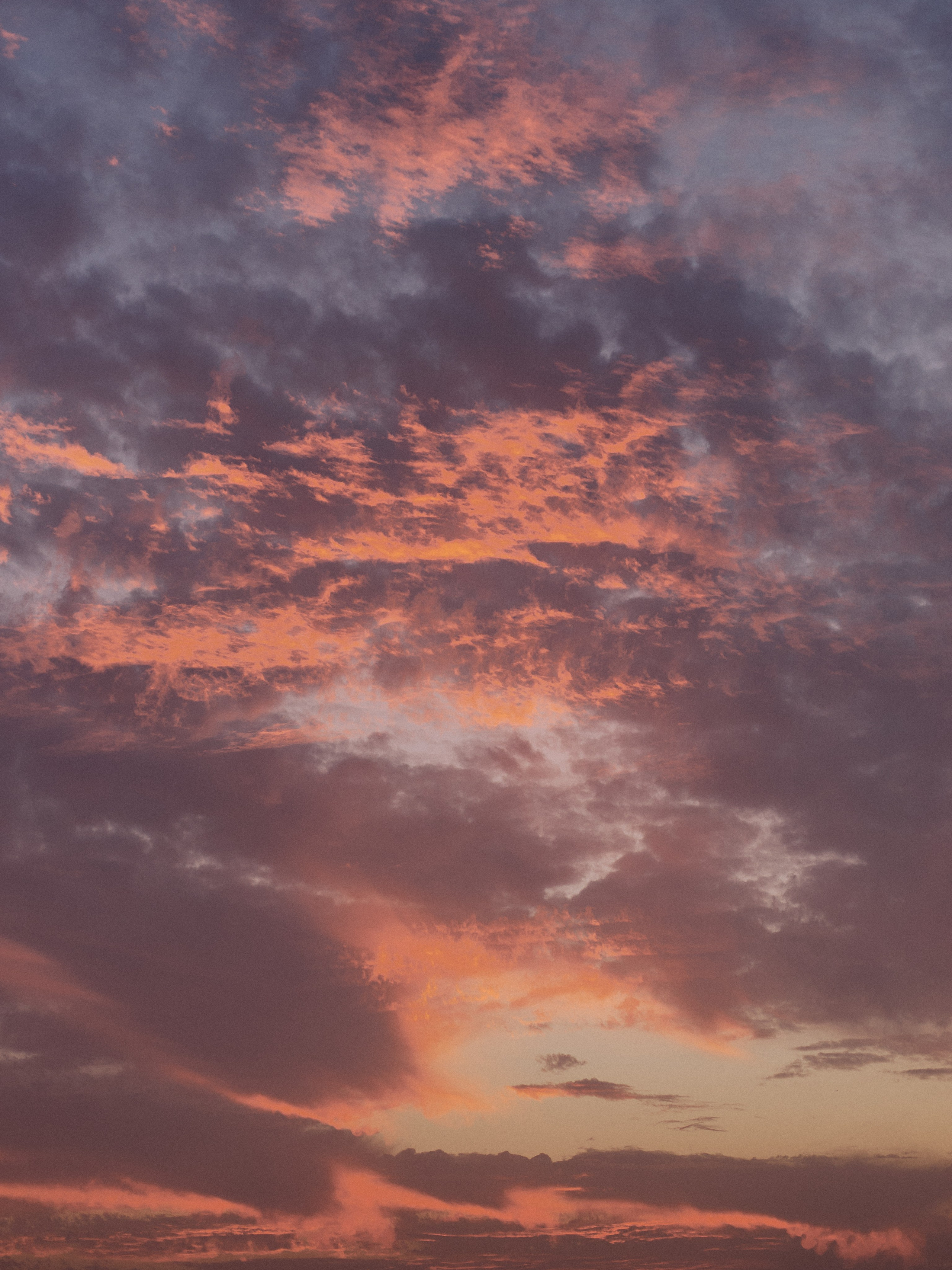 Другое 4. Jorgis — фотограф в Хургаде / обучение фотографии