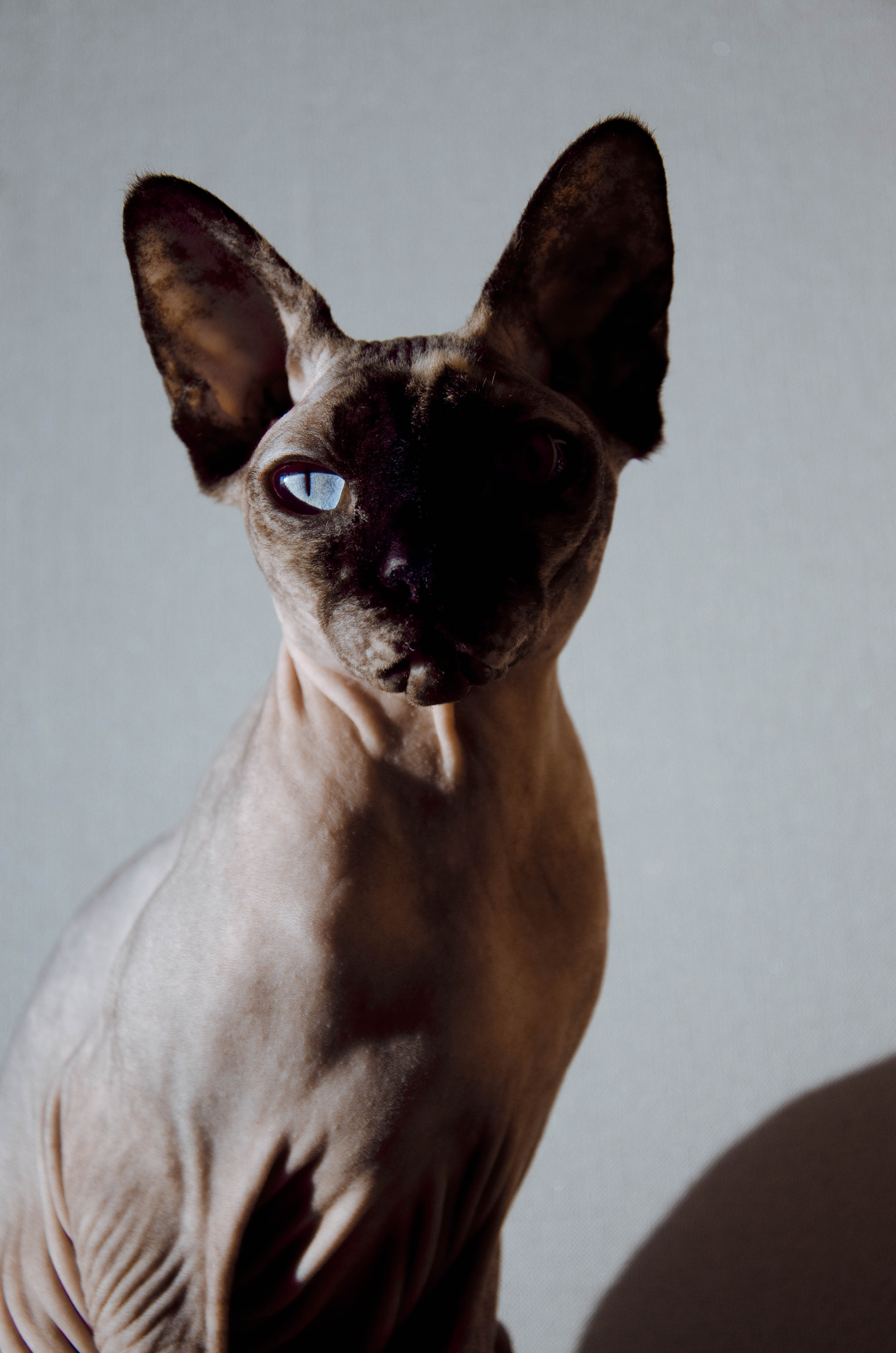 D E P T H. Photographer Barcelona