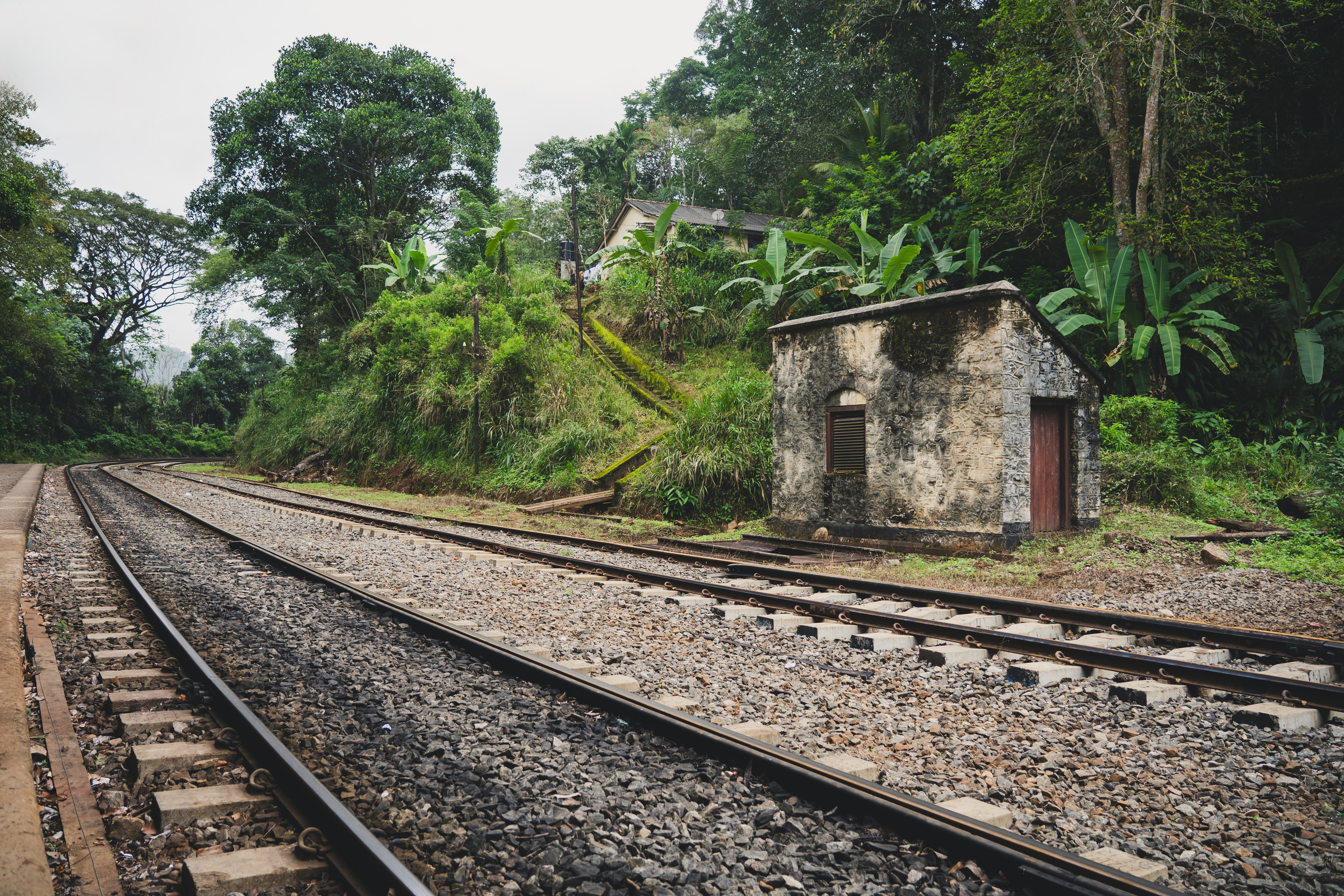 Шри-Ланка 2025. Легкая фотография