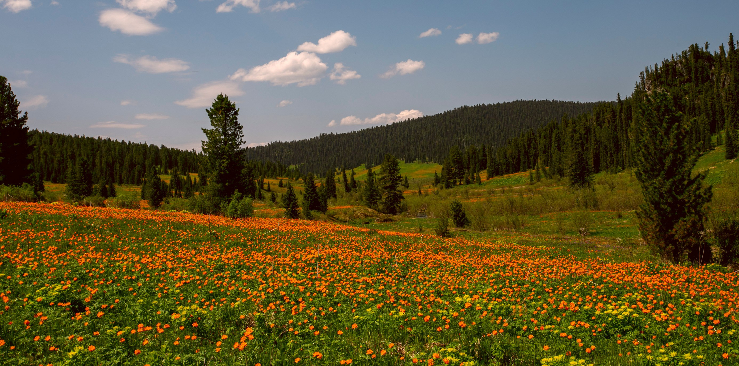 Пейзажная съемка. Фотограф в Саяногорске, Абакане Владимир Воробьев