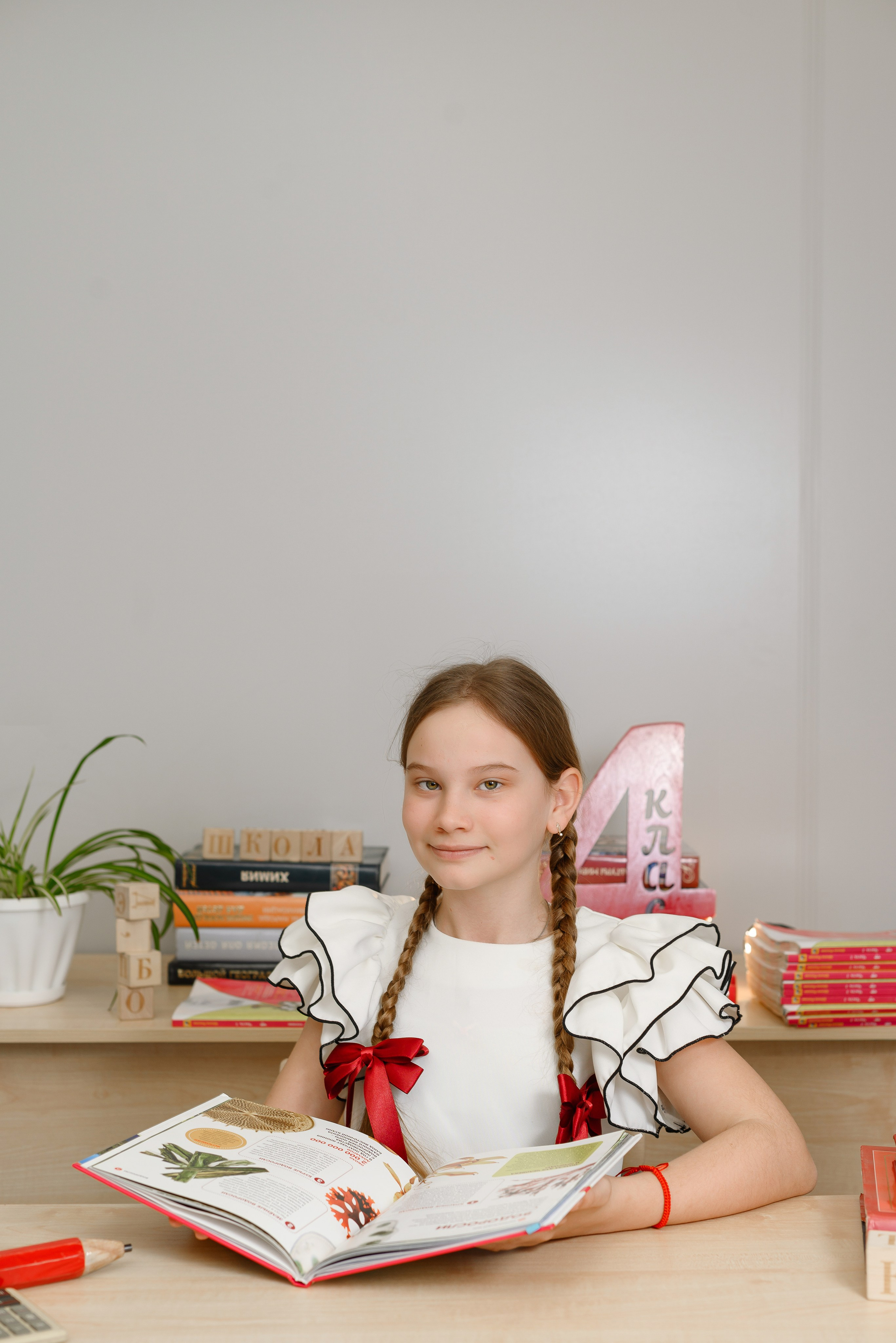 4 классы в школе. Съемка на книги. Свадебный, семейный и школьный фотограф в Бийске Ксения Мамаева