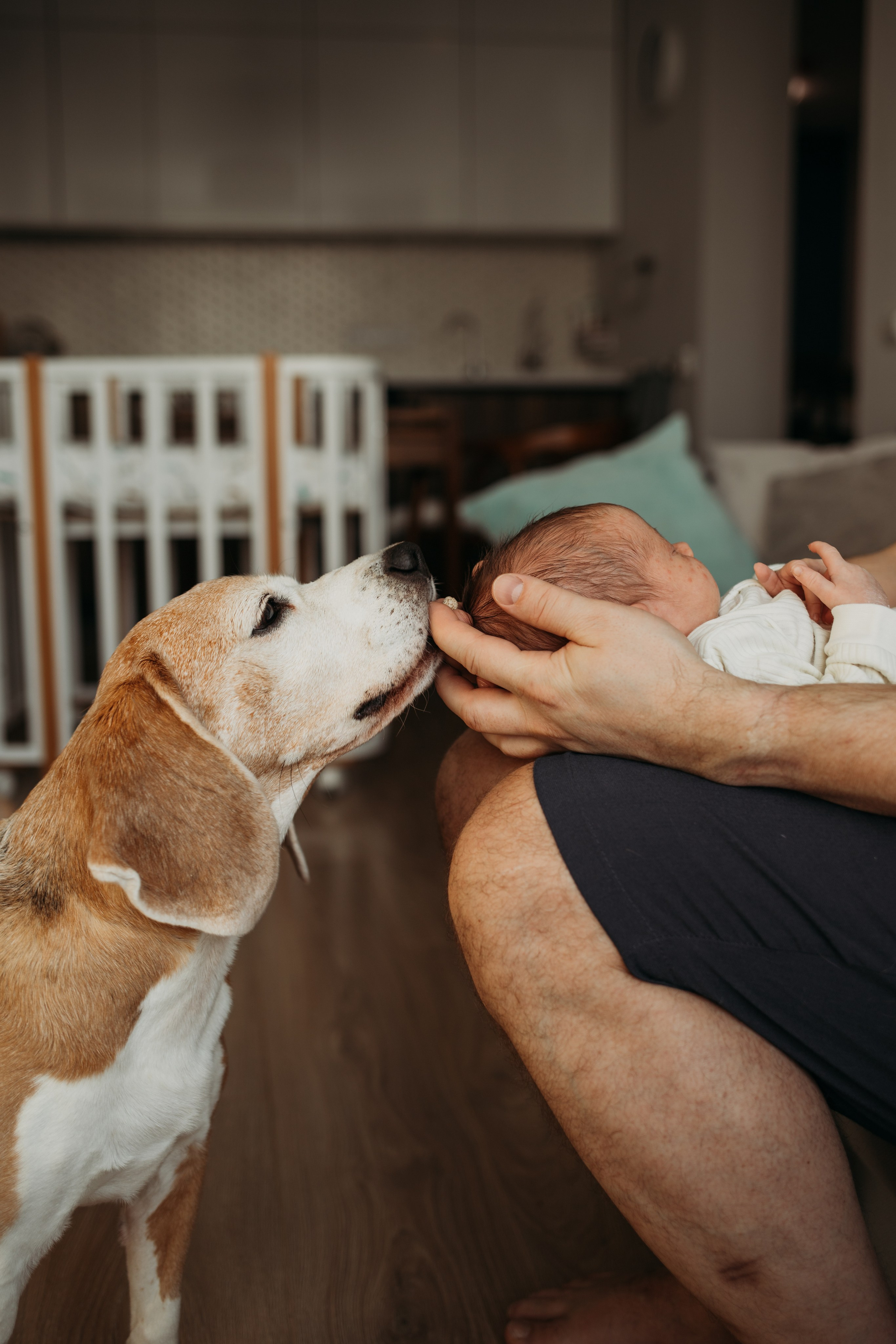 Саша, Марина и Даша. Семейный и детский фотограф в Москве Александра Нараевская