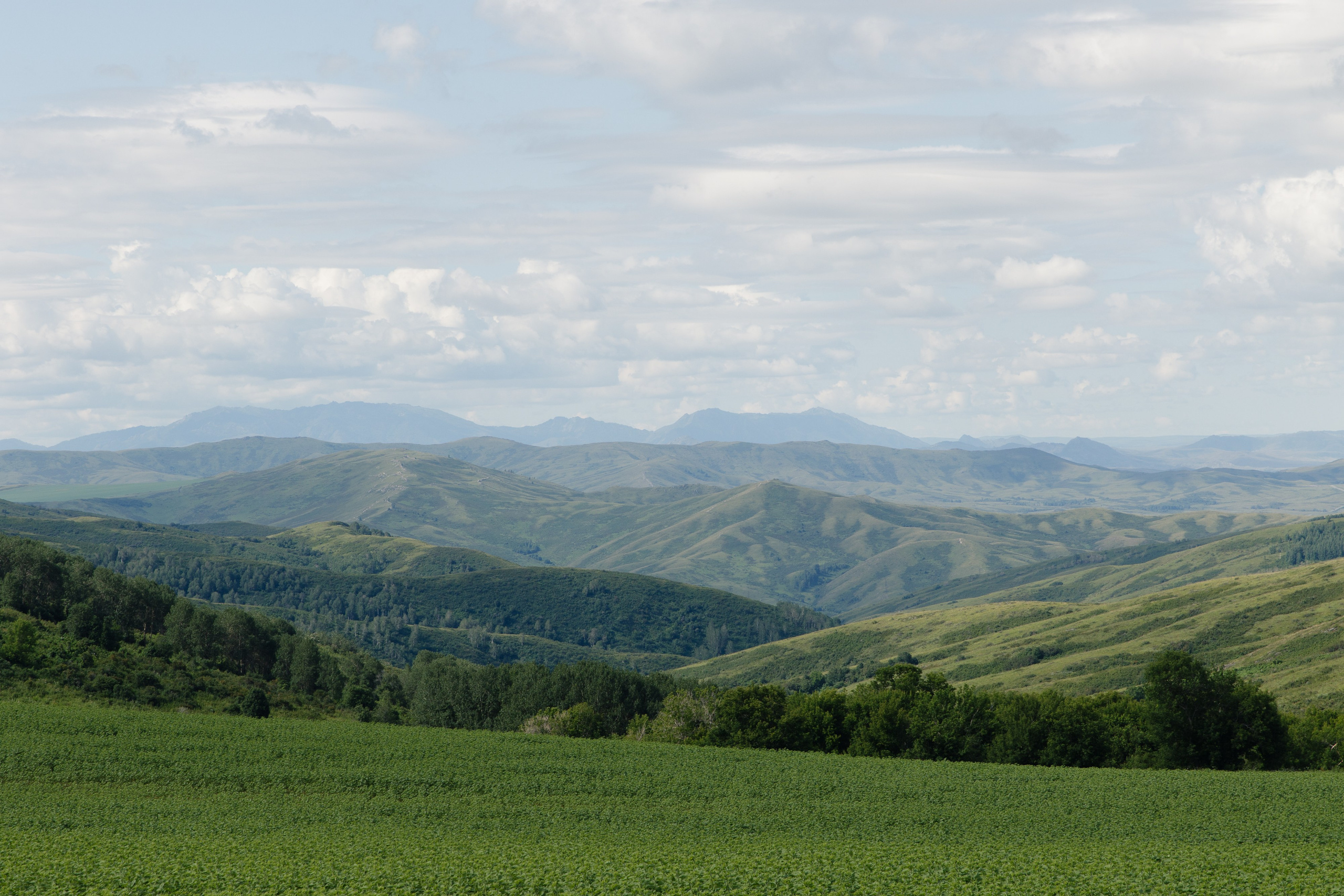 Казахстан. Фотограф Кирилл Мешков Кемерово
