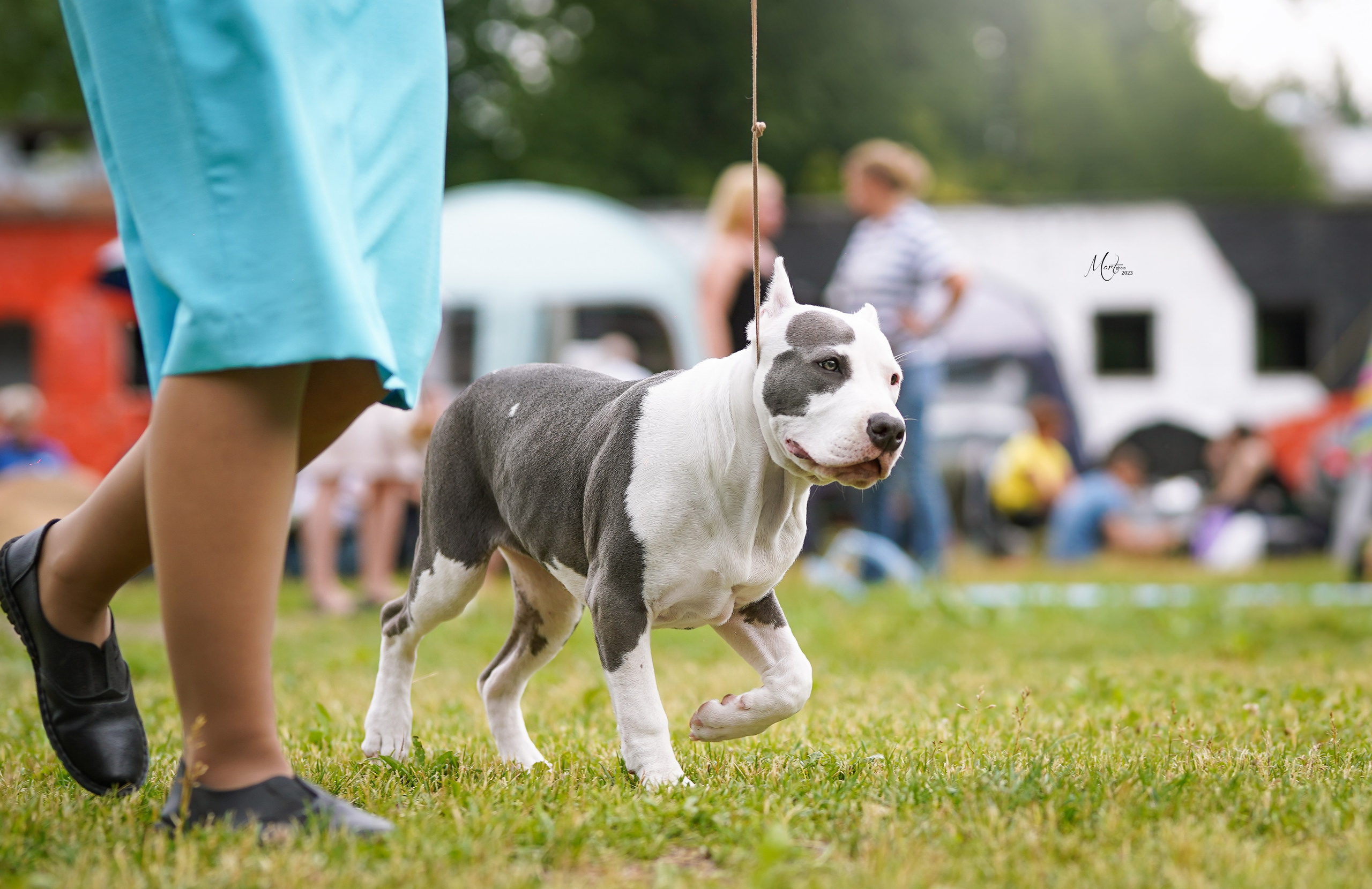 Выставки 2023. Фотограф-анималист в Санкт-Петербурге Яна Мартынова