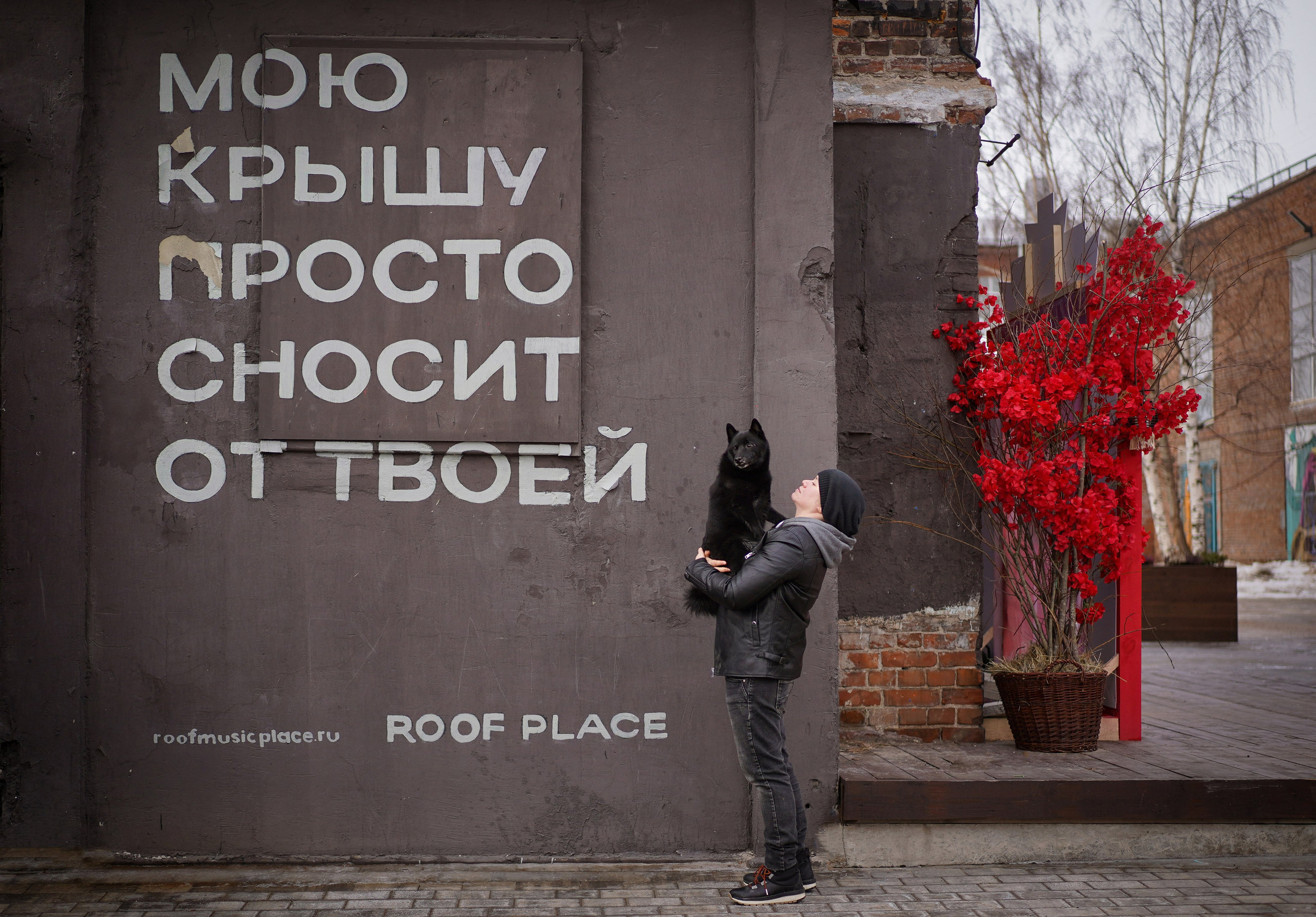 Аня Арчи и Мишель. Фотограф-анималист в Санкт-Петербурге Яна Мартынова