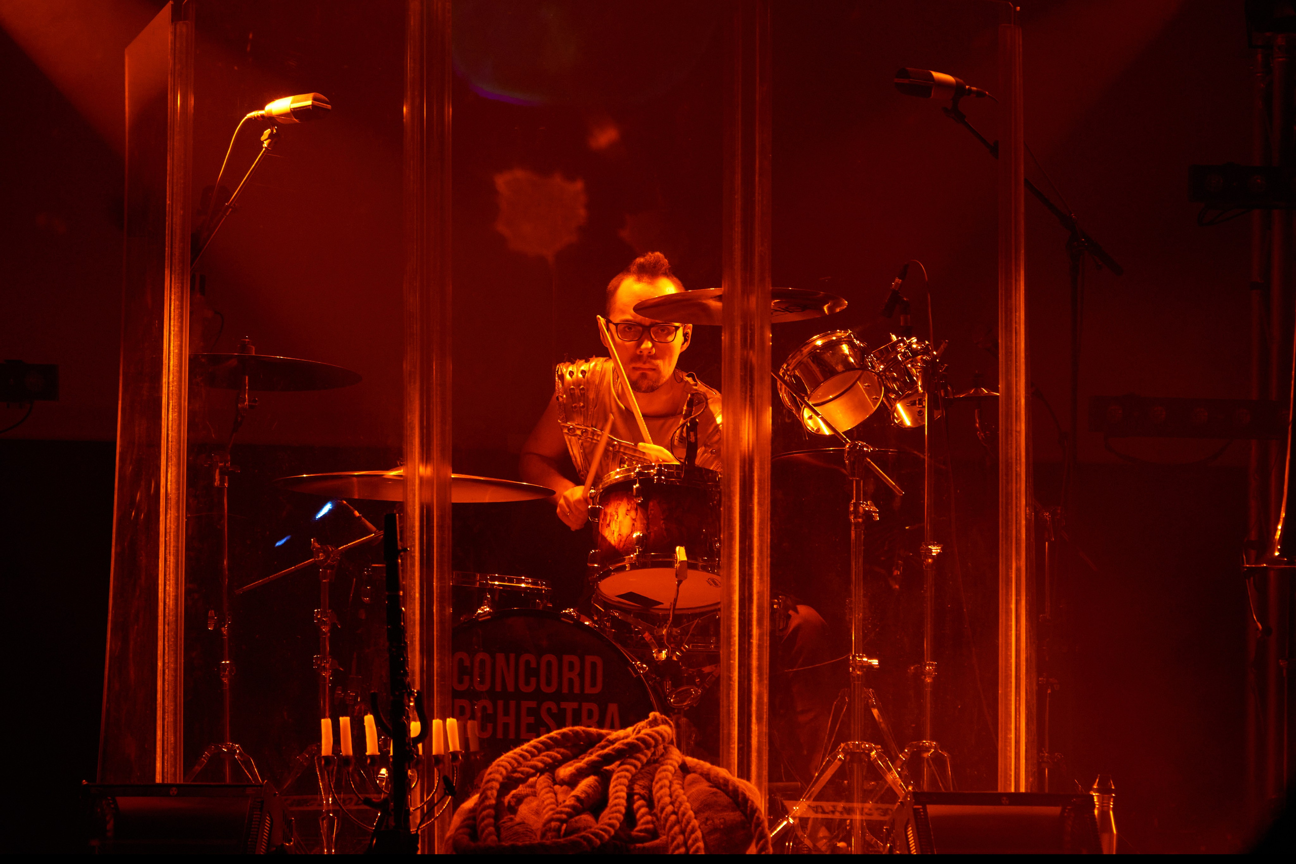 Concord orceatra. Фотограф