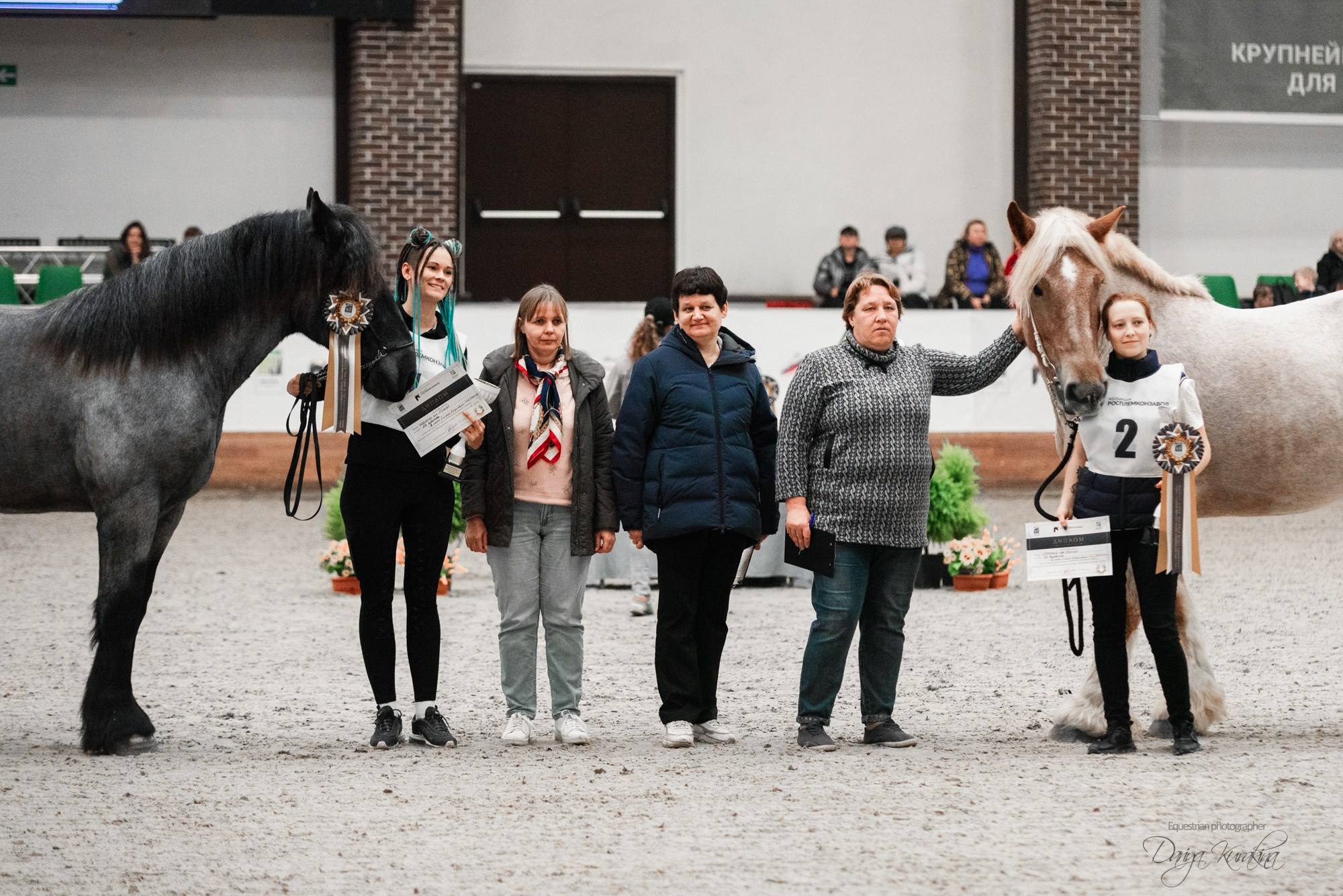 8-я международная выставка Конная Россия. Конный фотограф Куракина Дарья • Фотосессии с лошадьми