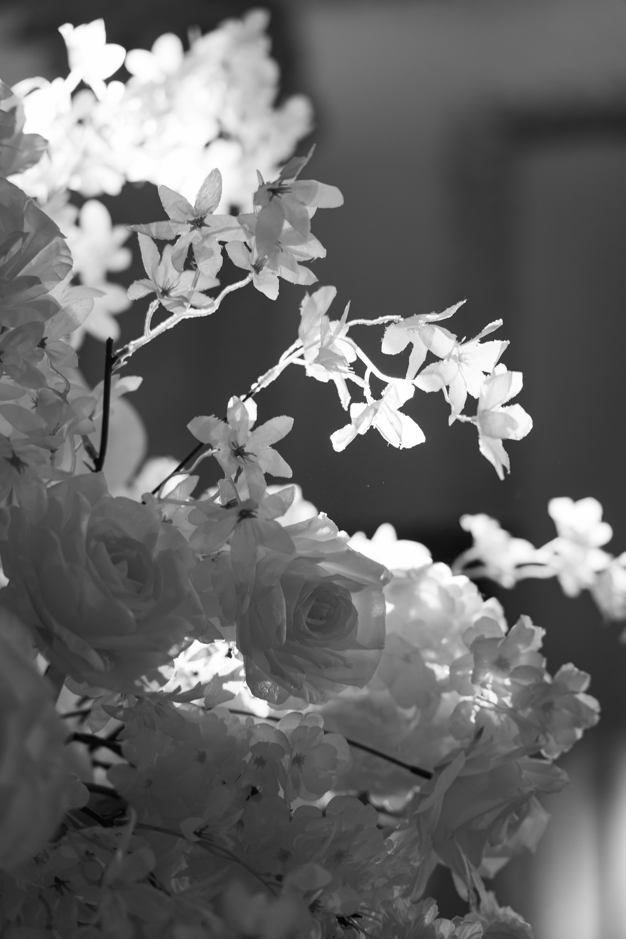 Оганнес и Гоар. Свадебный фотограф Руслан Хасанов