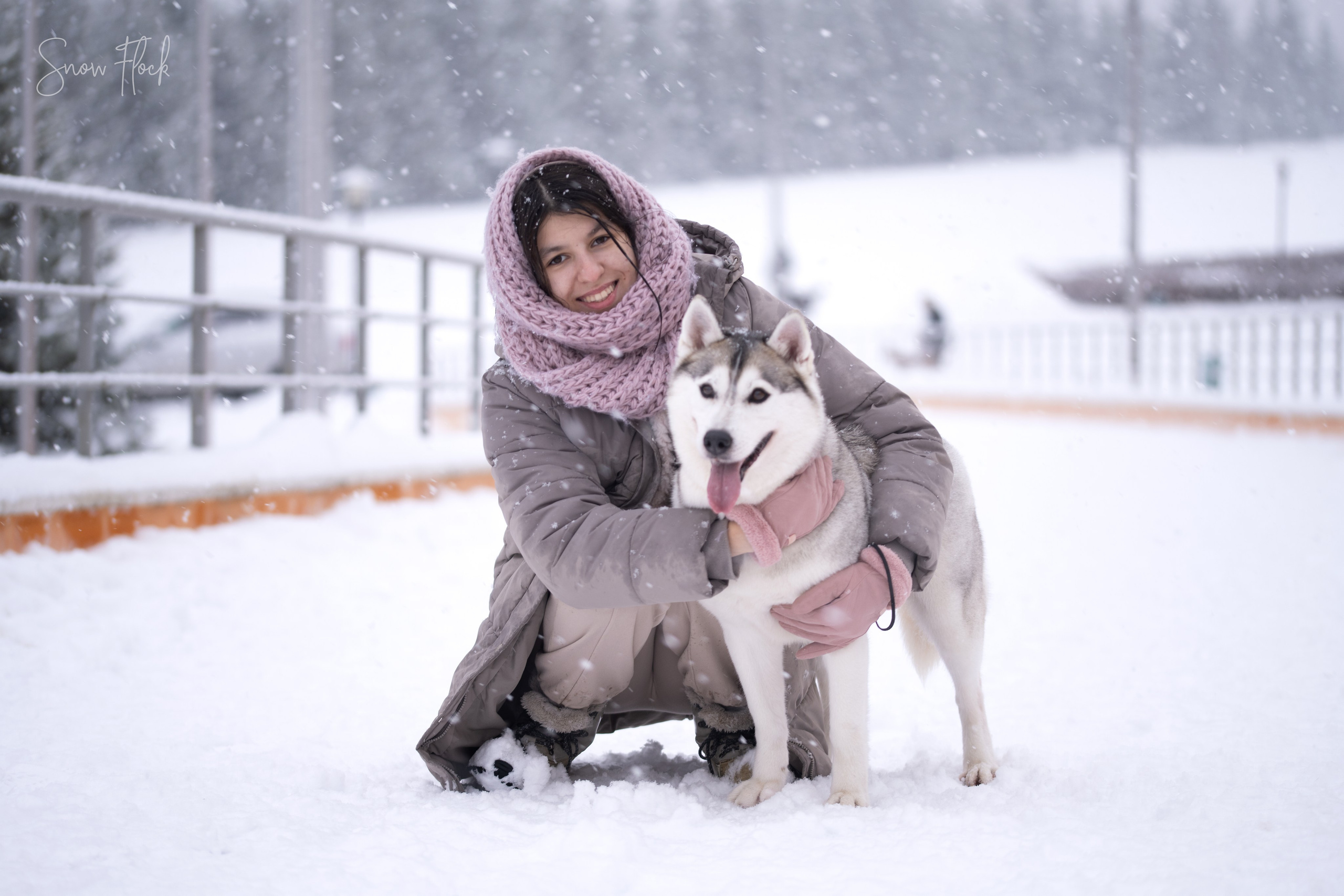 Собаки. FASHION ФОТОГРАФ КАЗАНЬ