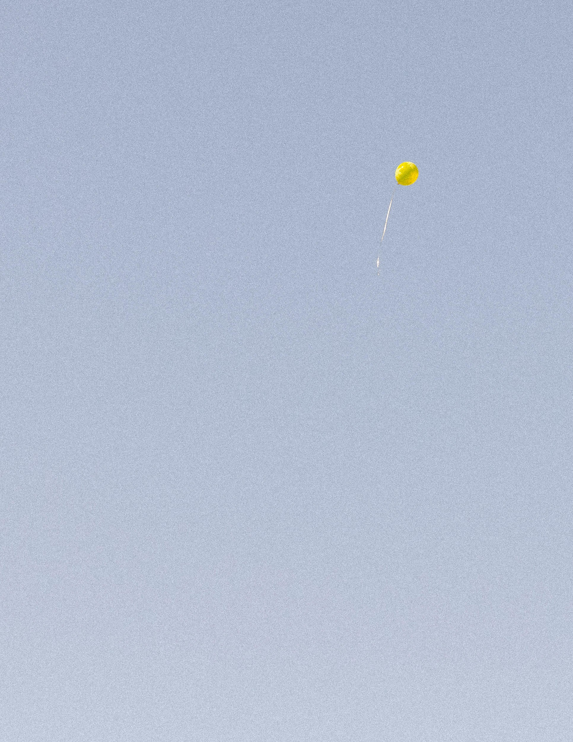 ПЕРВОЕ СЕНТЯБРЯ. Семейная и детская фотография в Москве