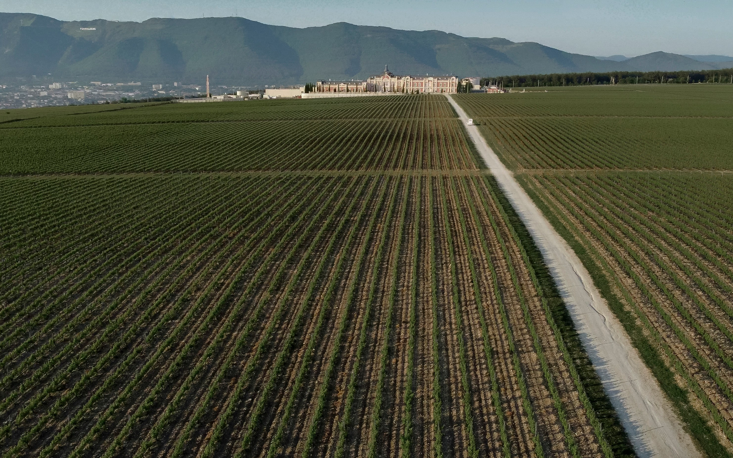 Все без тебя не-так! (Ариша & Дима). Wed Photographers 📷 Saint Petersburg