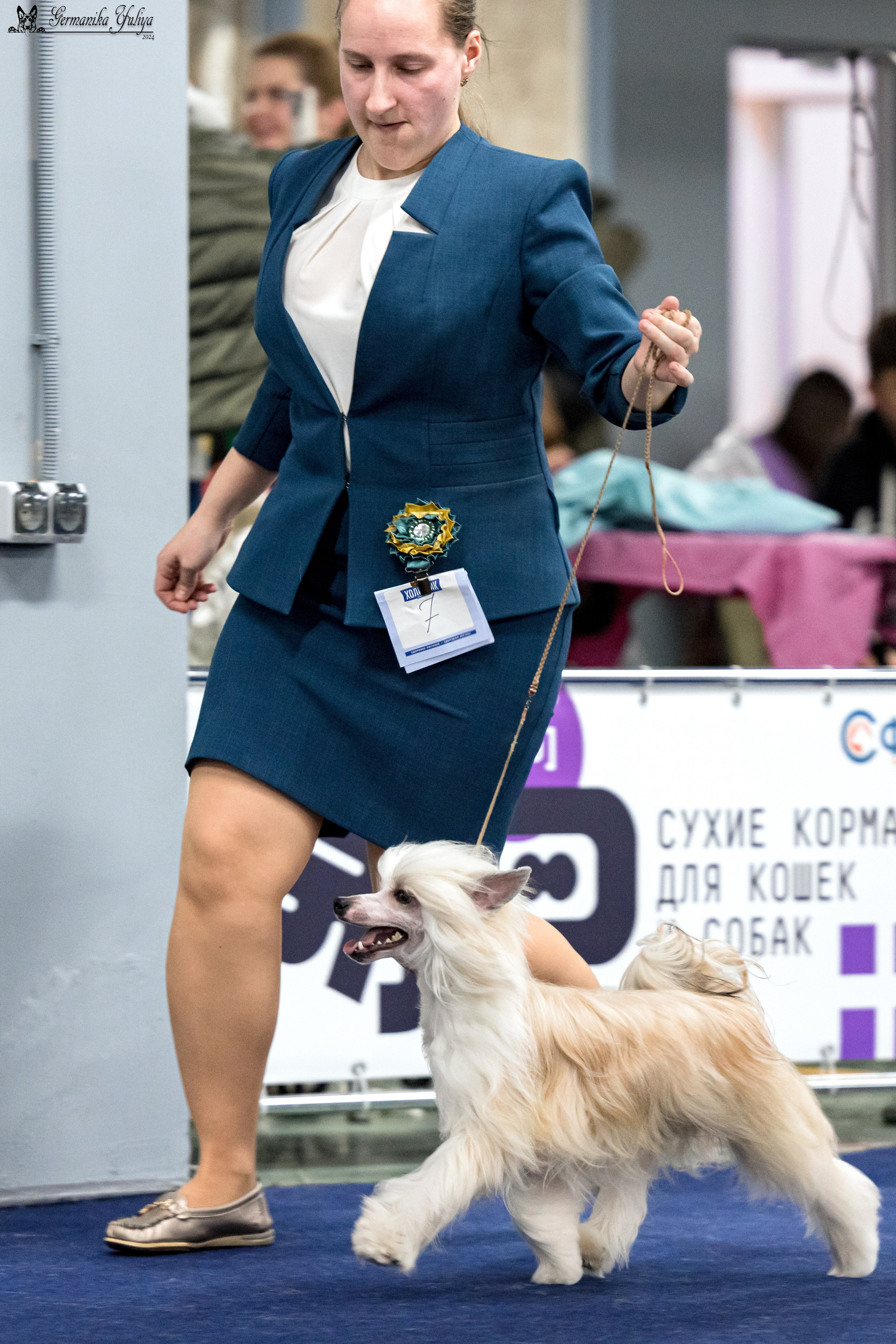 Сфера 28.01. и 4.02.2024. Фотограф-анималист Юлия Германика