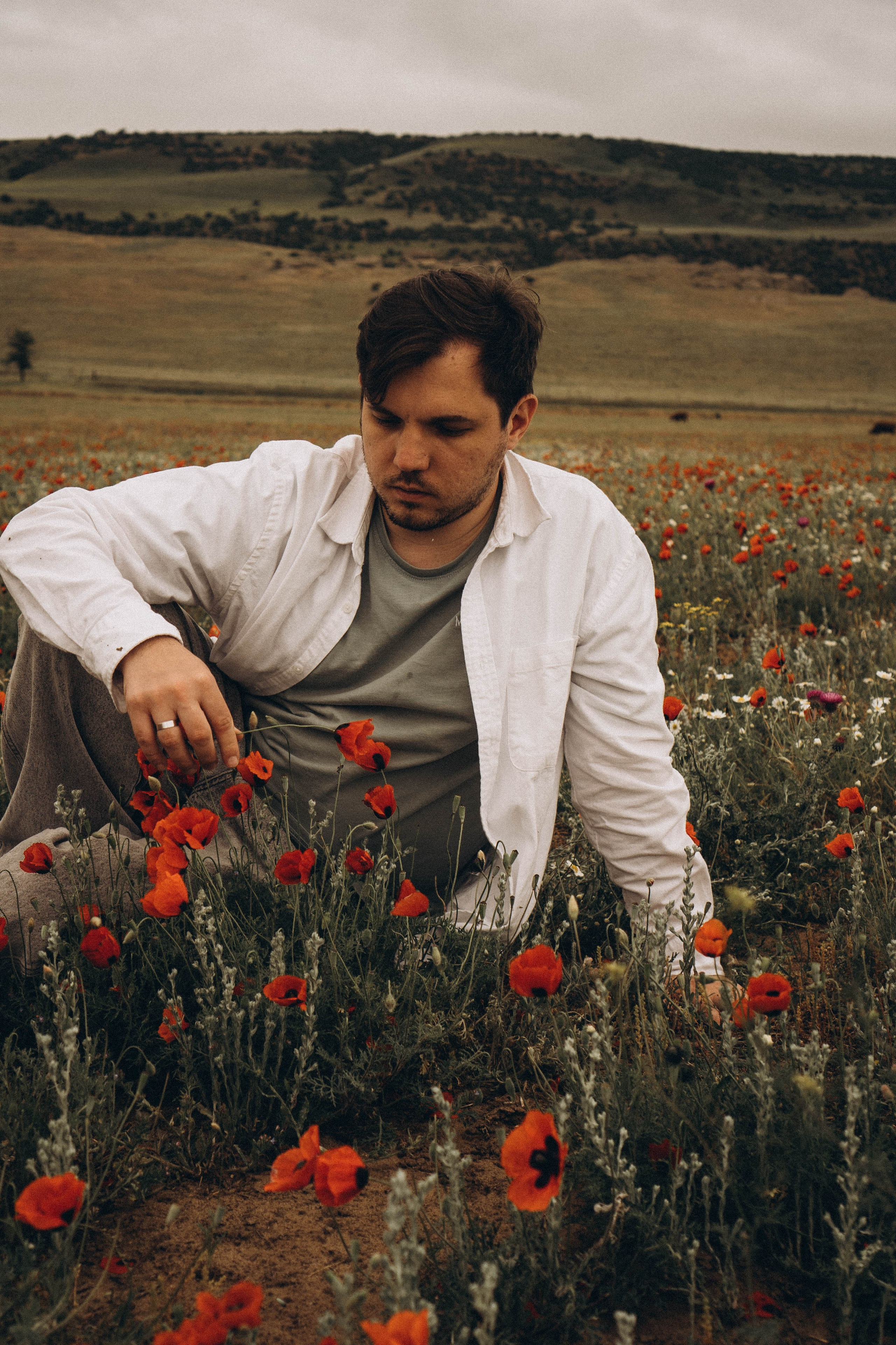 Маки. Профессиональный фотограф, Санкт-Петербург — Виктория Богомолова