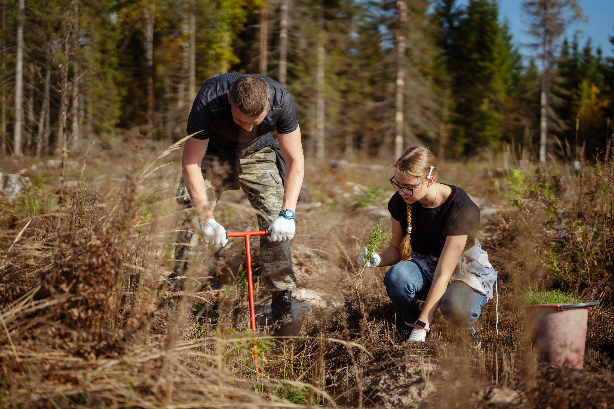 СБЕР · ЭКА · Посадка сеянцев. Владимир Вершинин, тот самый свадебный видеограф