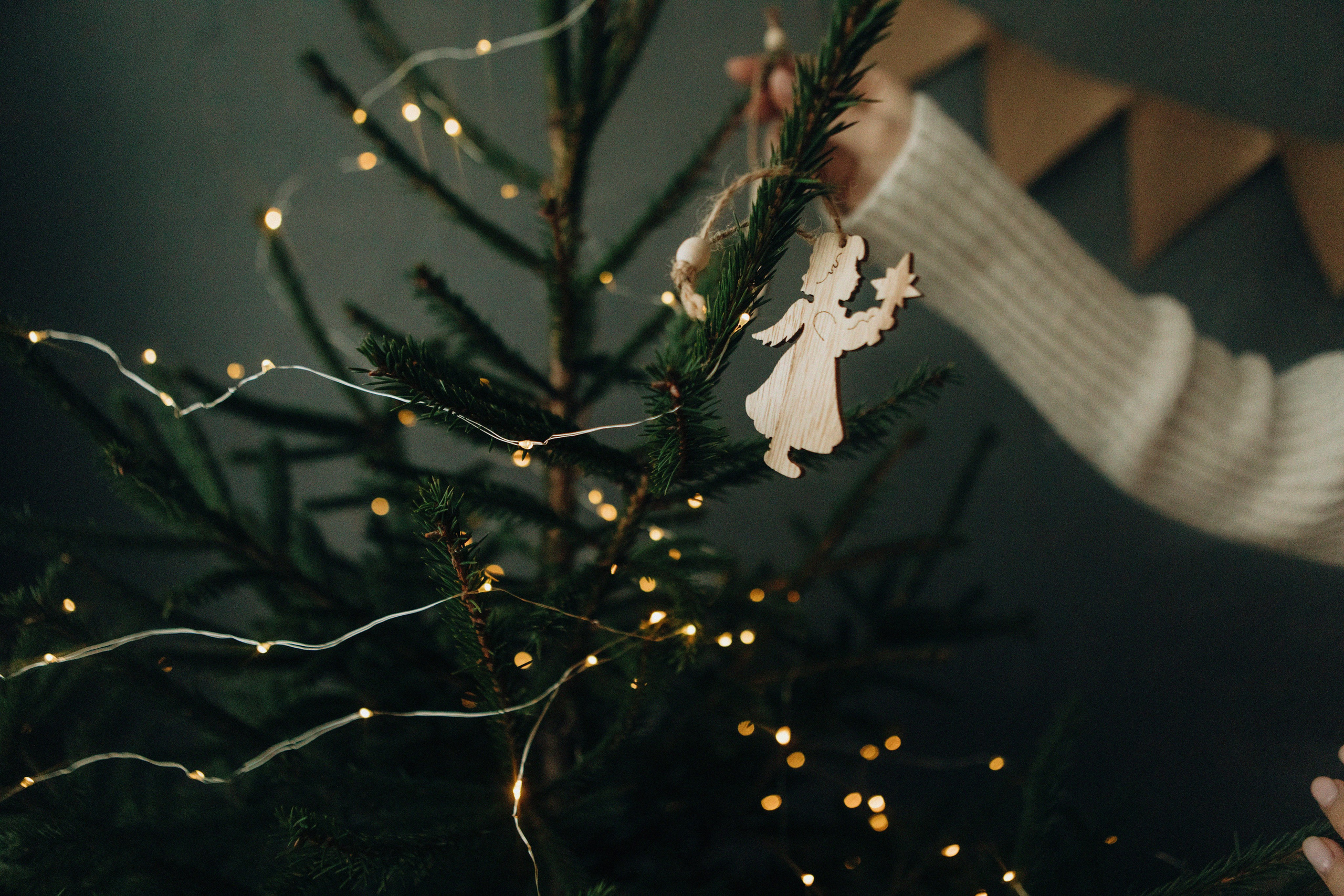 Загадывали желания. Свадебный и семейный фотограф Арестенко Анастасия