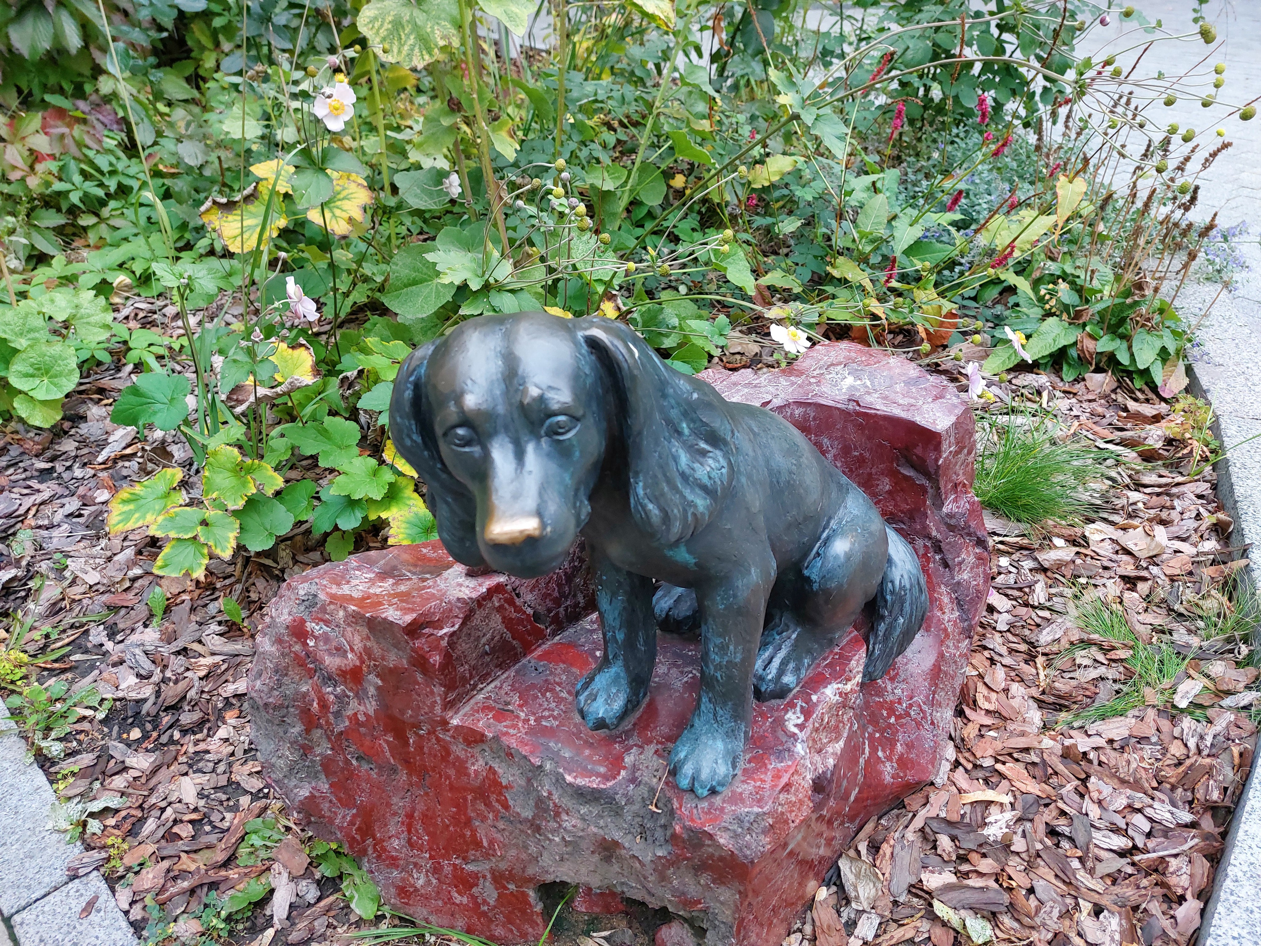 Татьяна Барлас  - аттестованный экскурсовод по Москве. П&П — Полезное с Приятным. Фотоэкскурсии — Москва на память. Экскурсовод и фотограф в Москве. Увези столицу в своём альбоме!