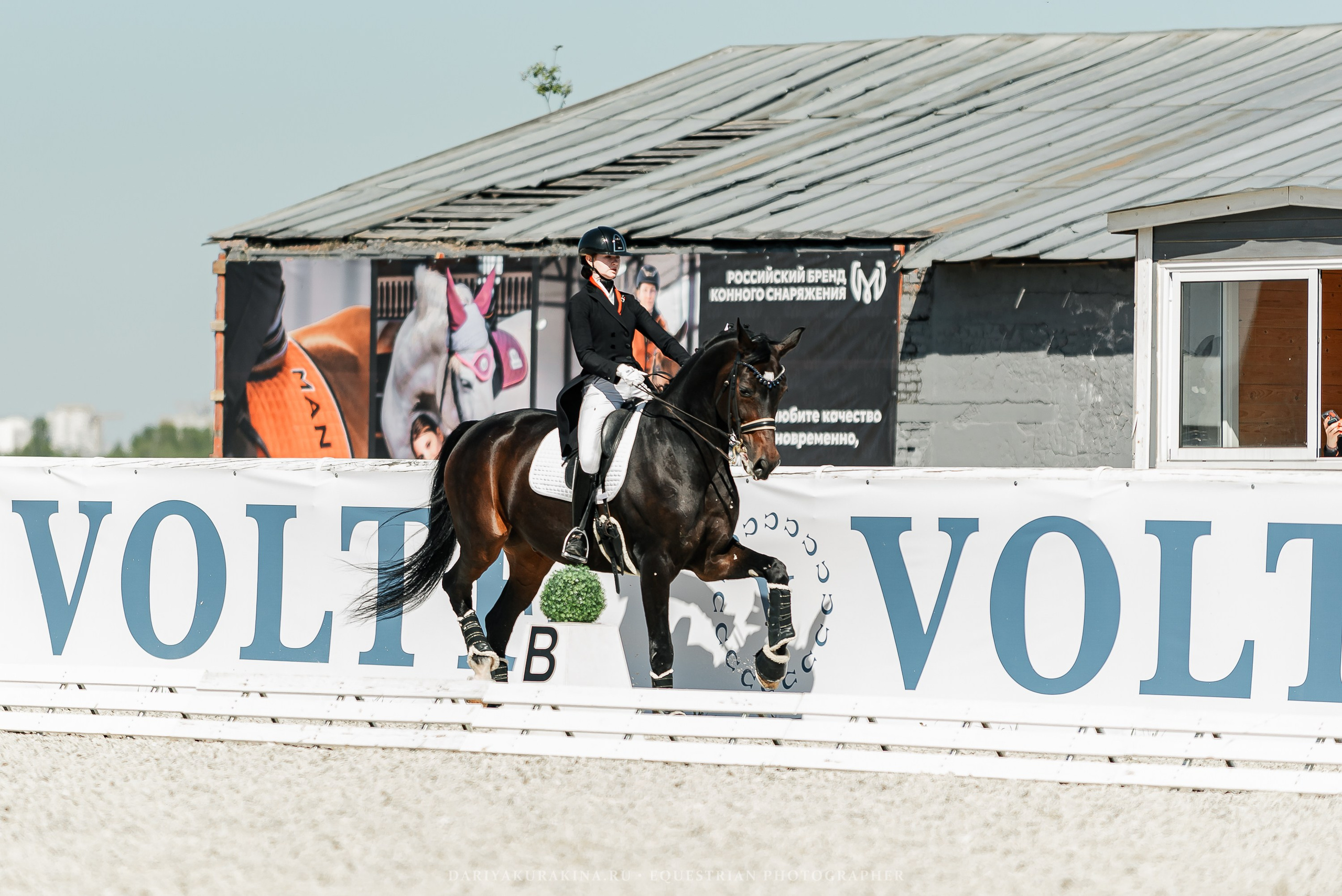 РЕПОРТАЖ МКК ВОЛЬТ «LA TULIPS». Конный фотограф Куракина Дарья • Фотосессии с лошадьми