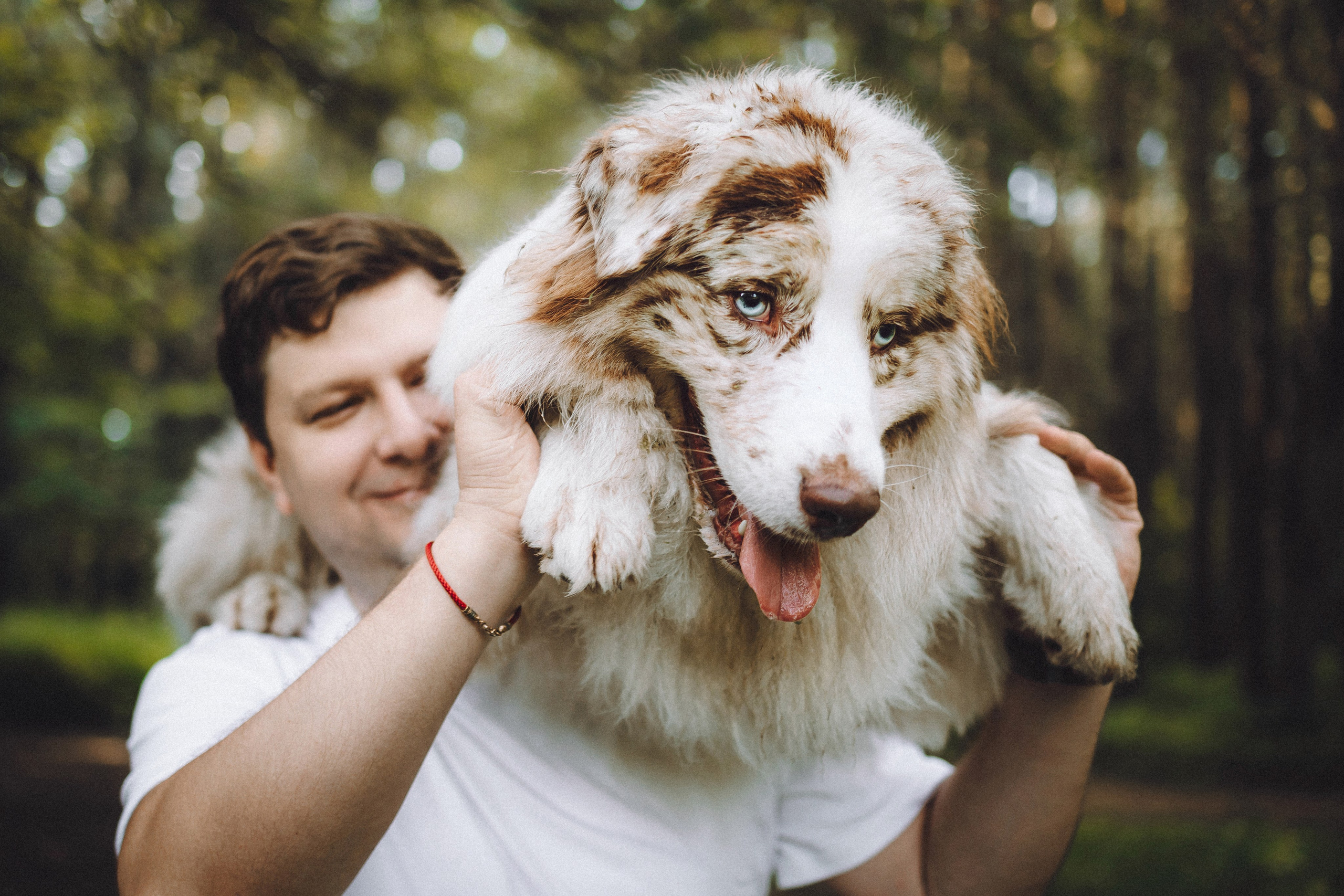 Катя, Андрей, Гектор, Ричи, Тортик и Трой