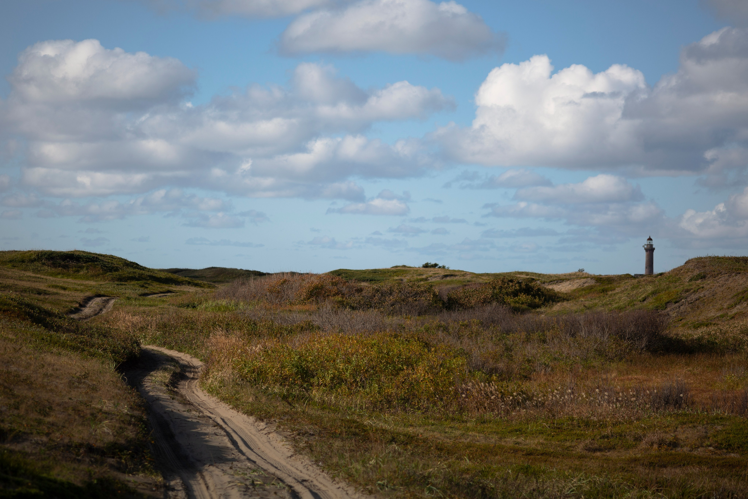 Первый день на Сахалине. Фотограф Даша Омельченко