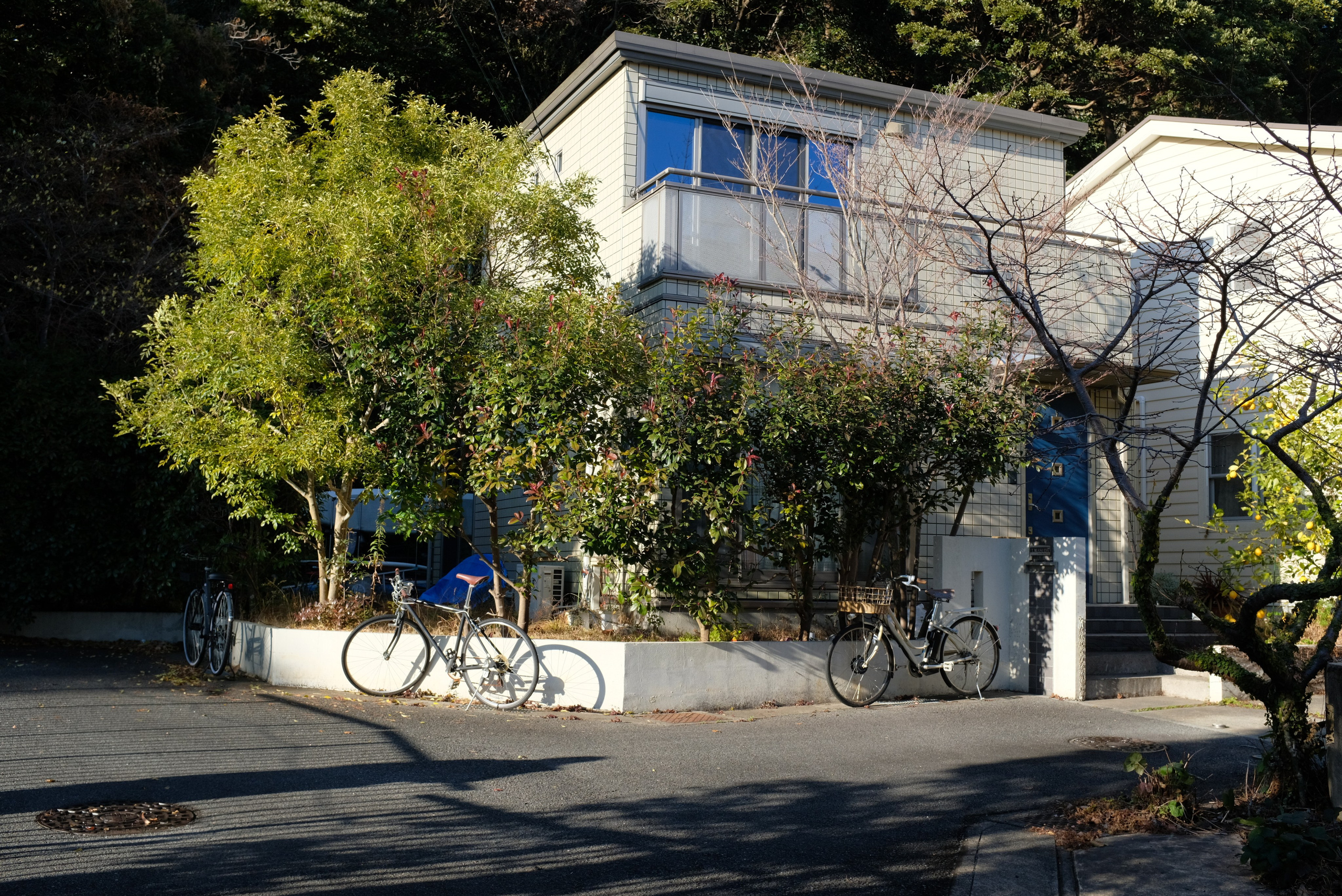Kamakura. Regina Platonova