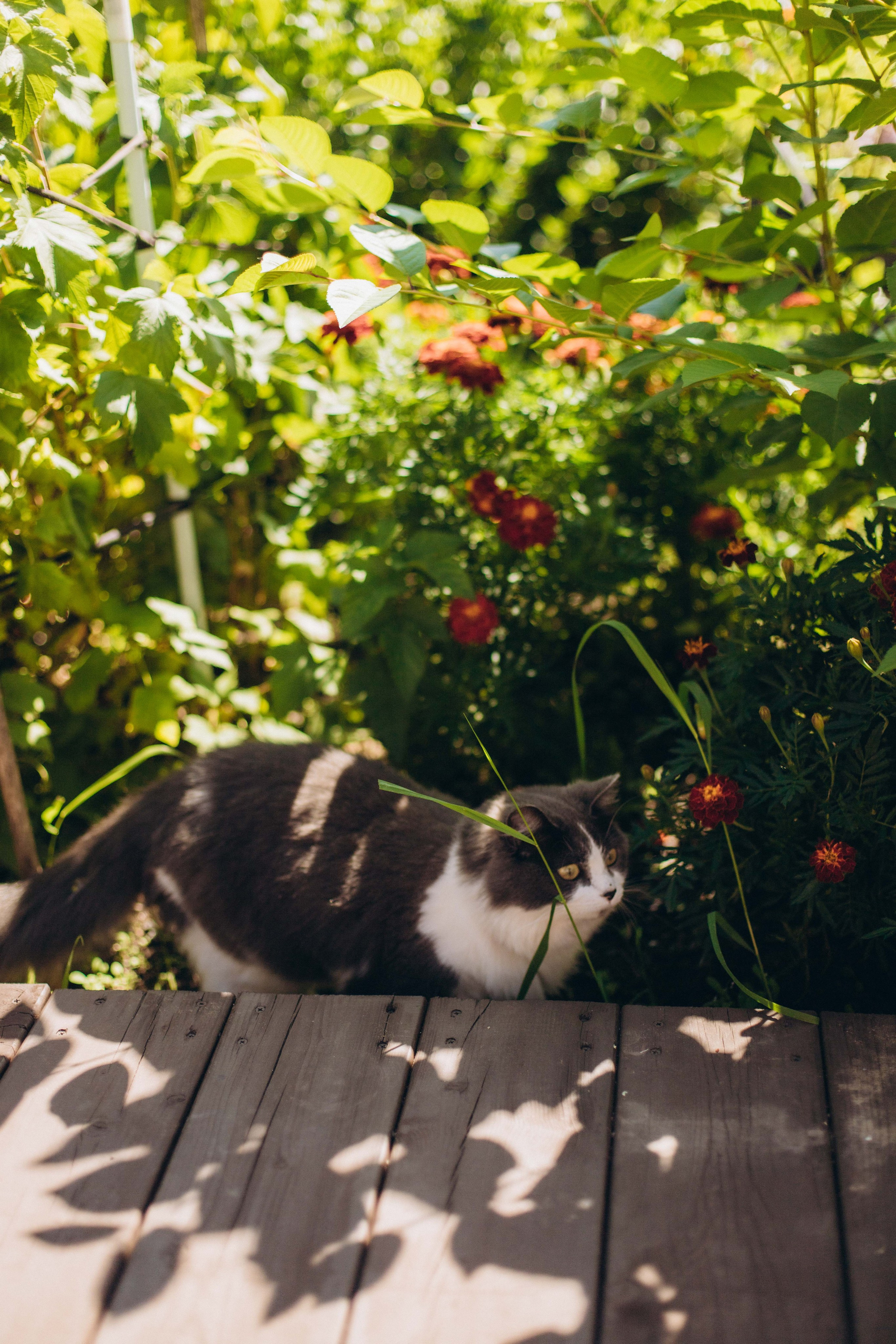 Андрею 1 годик. Фотограф Наталья Кургина Слюдянка Иркутск