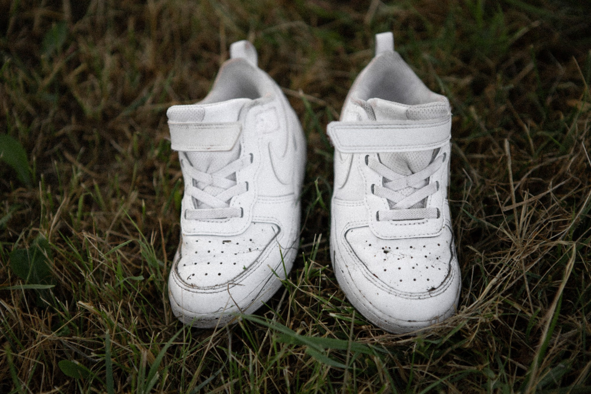 В ожидании ветра. Фотограф Владимир Молоканов