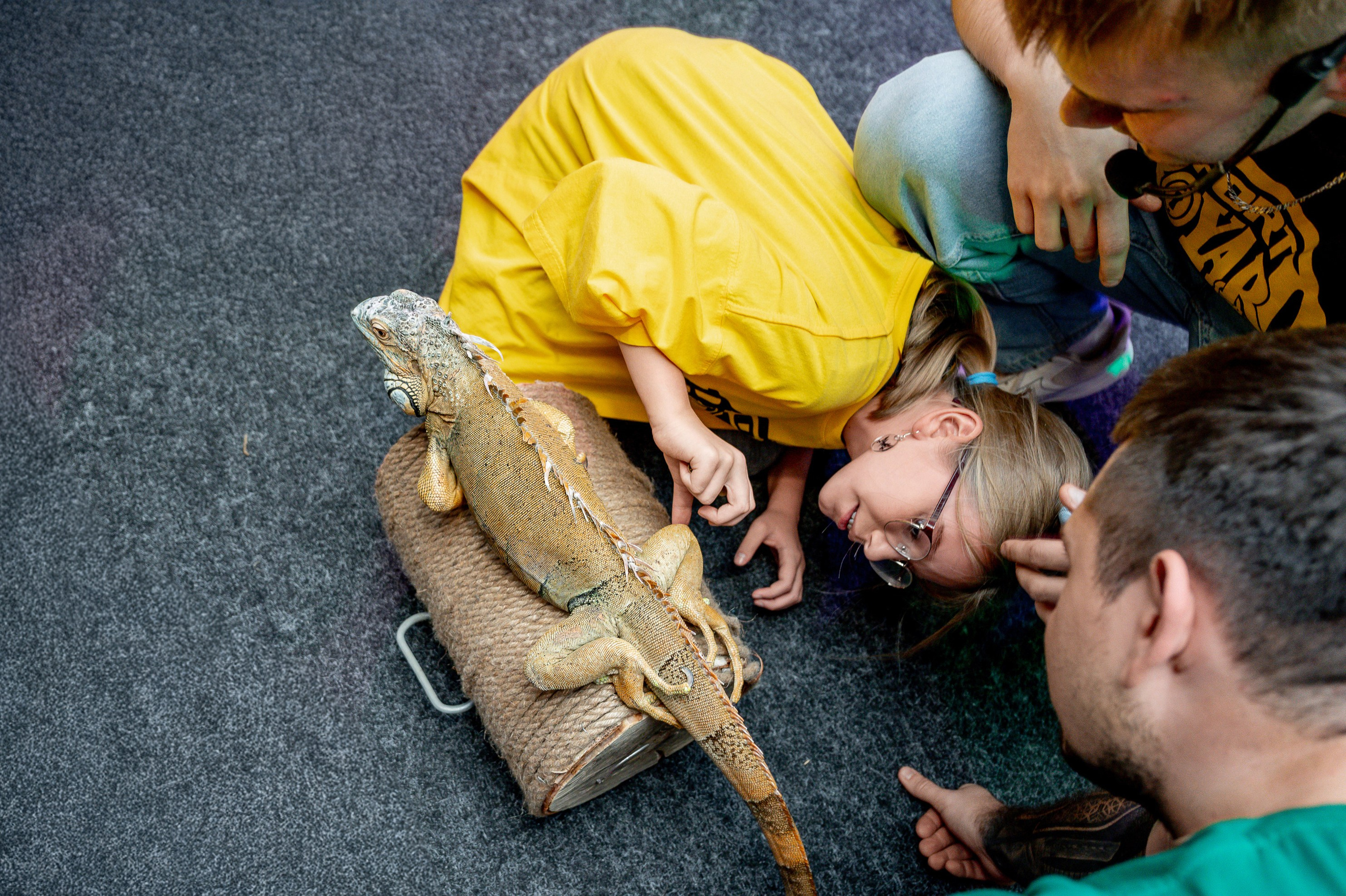 «Форд-боярд». Свадебный, семейный и репортажный фотограф. Брянск. Эльвира Голенкова