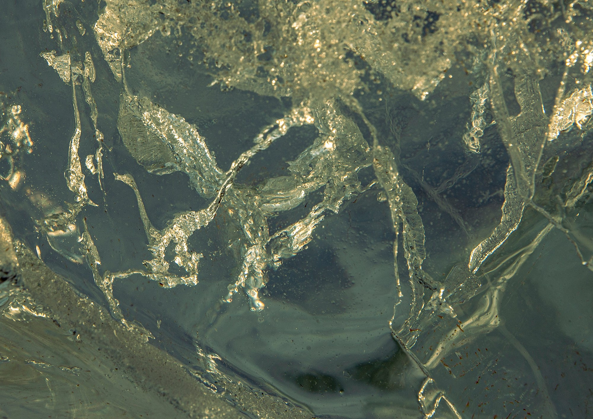 «Мы здесь». Фотограф Переверзева Наталья / Ханты-Мансийск