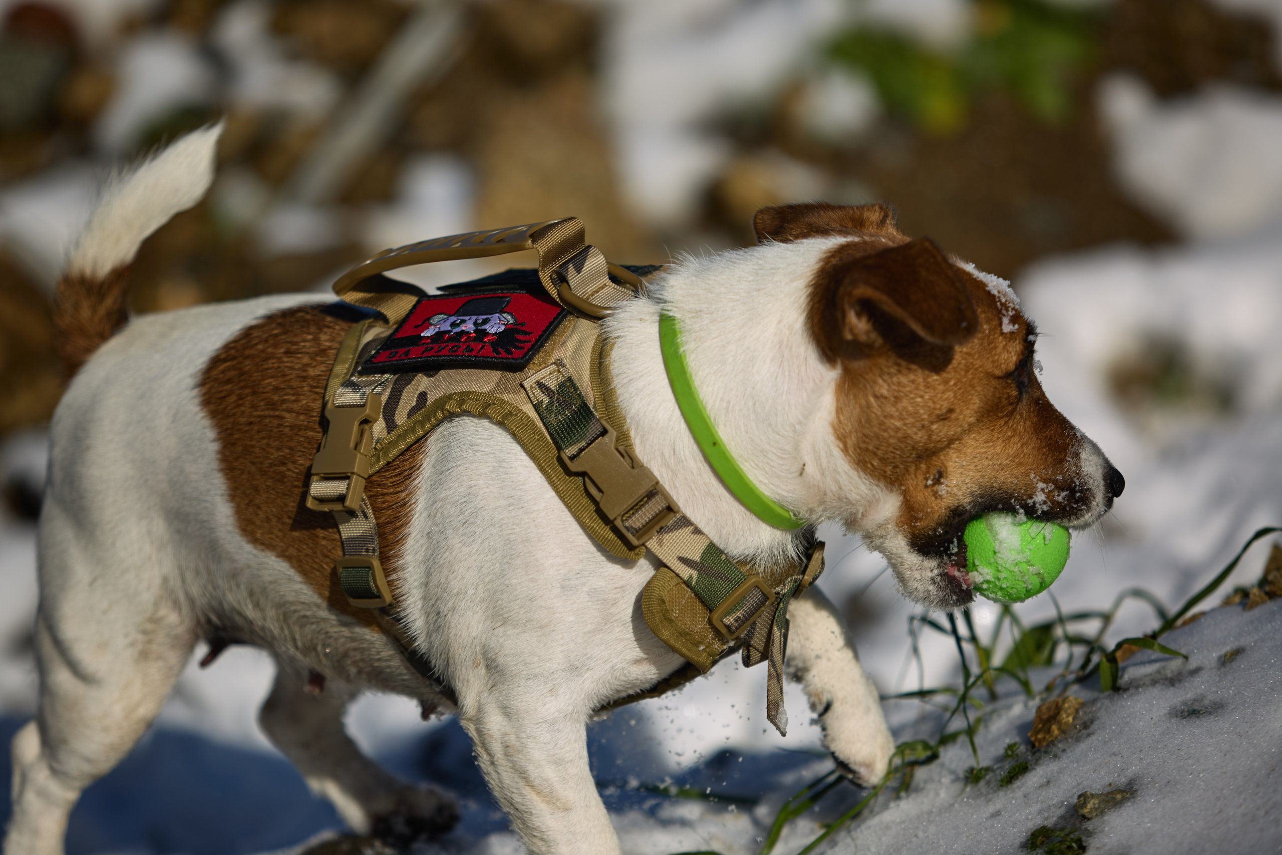 Лети Спасатель. Buyvolenko Andrey