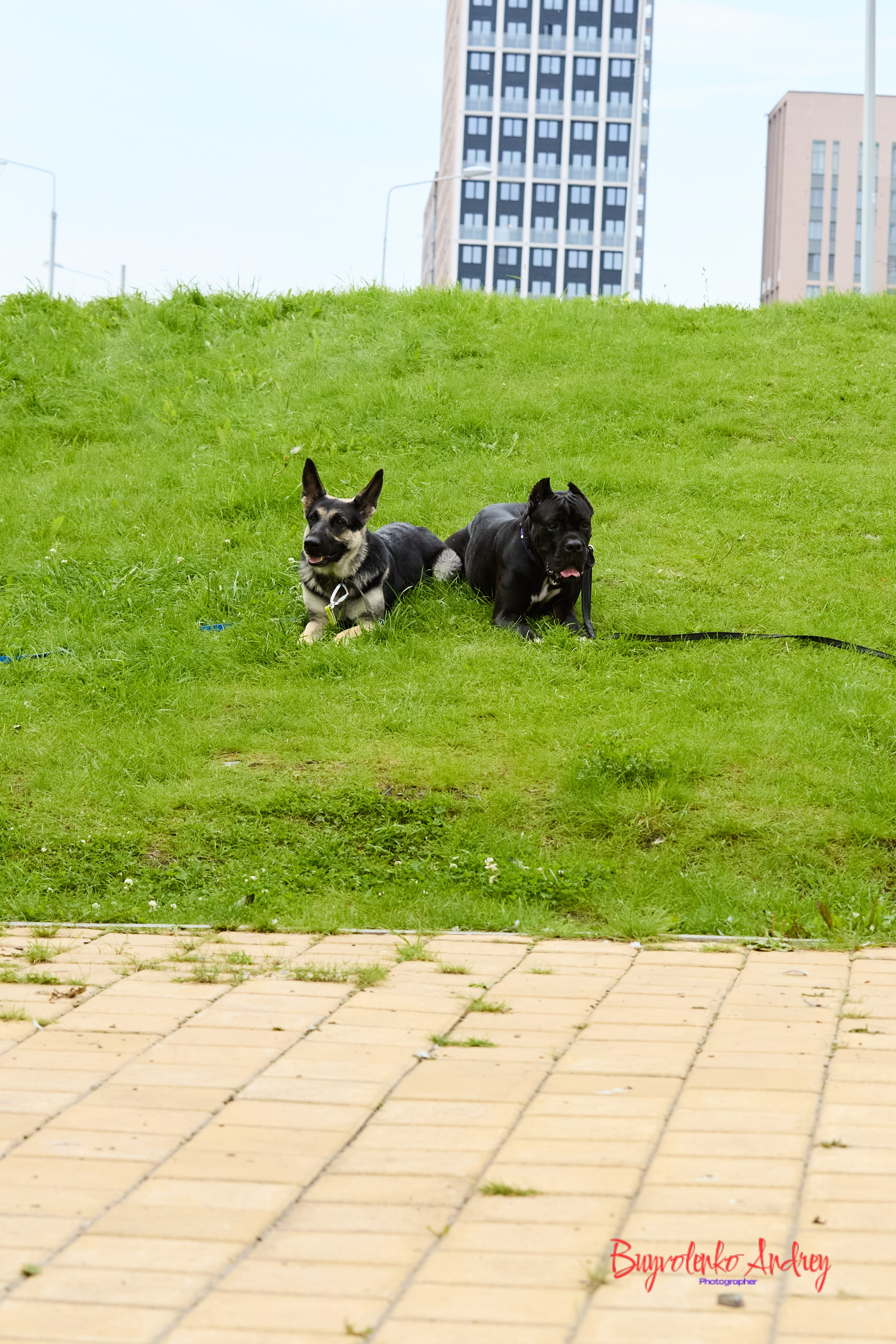 Проект фотопрогулка с хвостиком. Buyvolenko Andrey