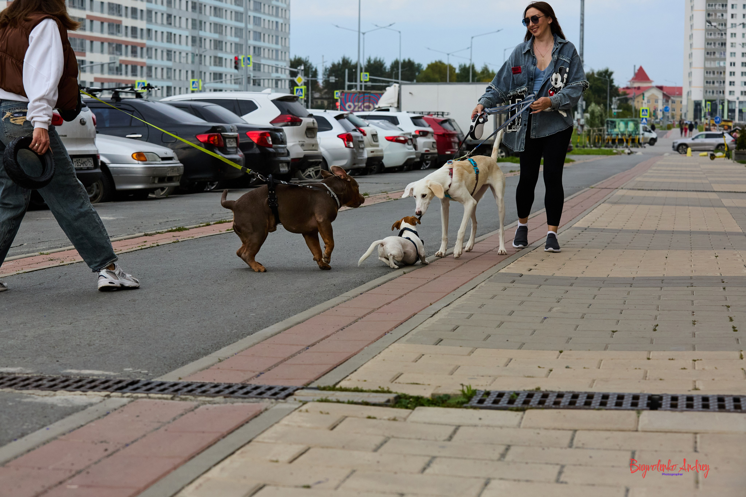 Проект фотопрогулка с хвостиком. Buyvolenko Andrey