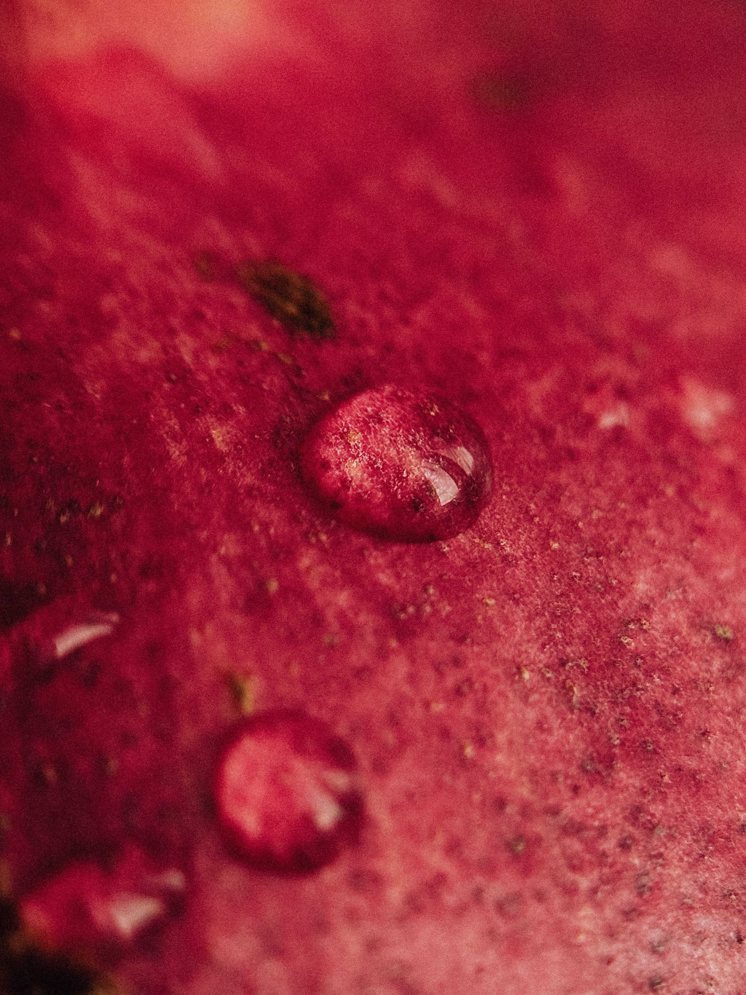 Предметная съёмка. Чувственный мобильный фотограф в Казани и Сочи Дьяченко Дарья