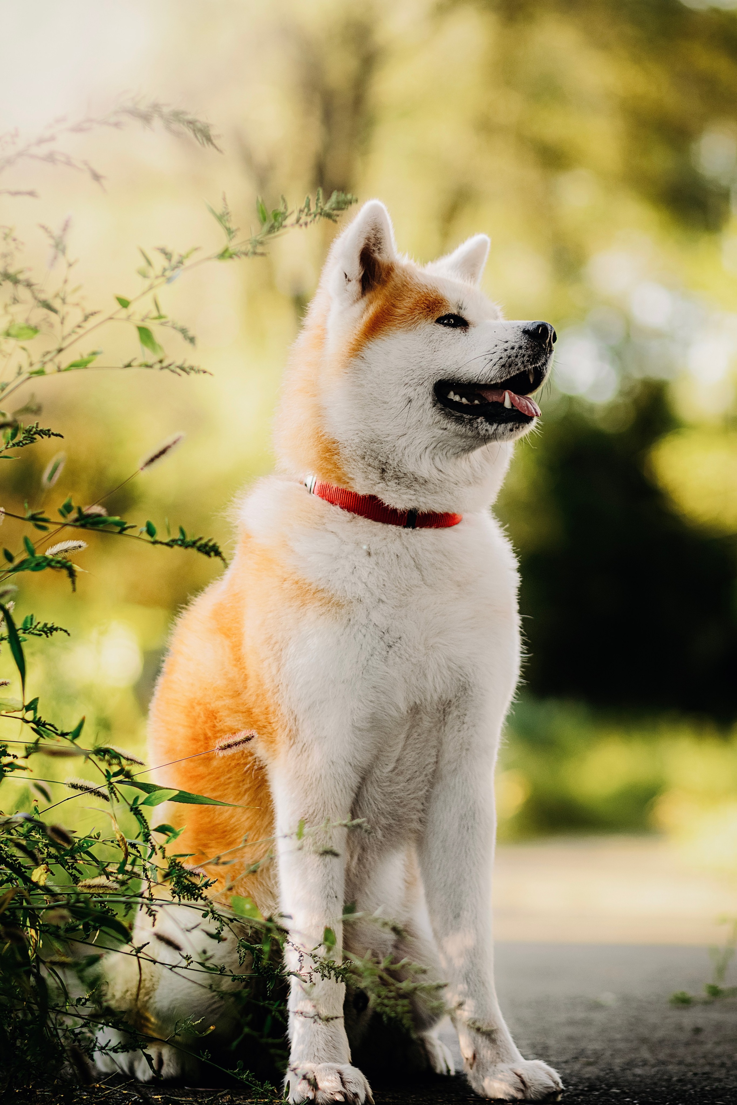 Вальтер. Фотограф в Арсеньеве