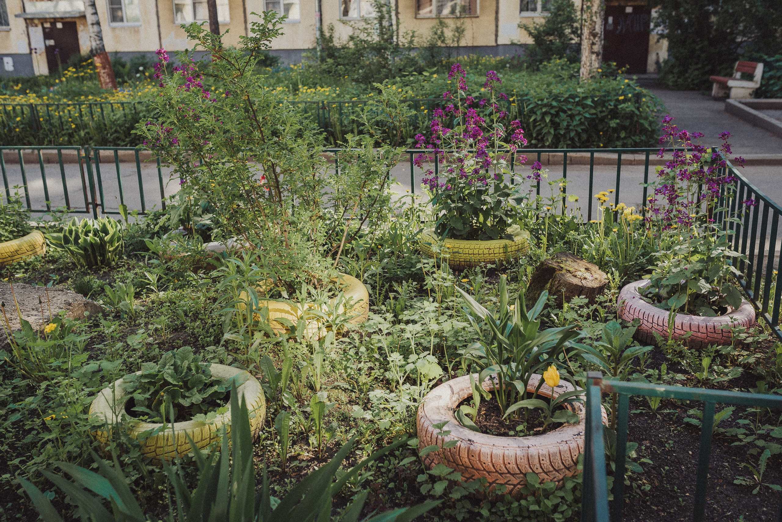 Фотопроект «ЯШина». Документальный фотограф Илья Тихановский