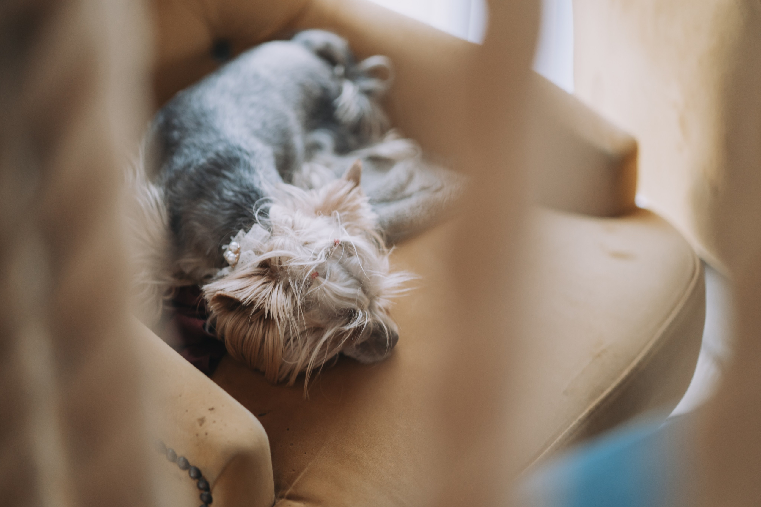 София и Петр. Репортажный фотограф Анастасия Головко