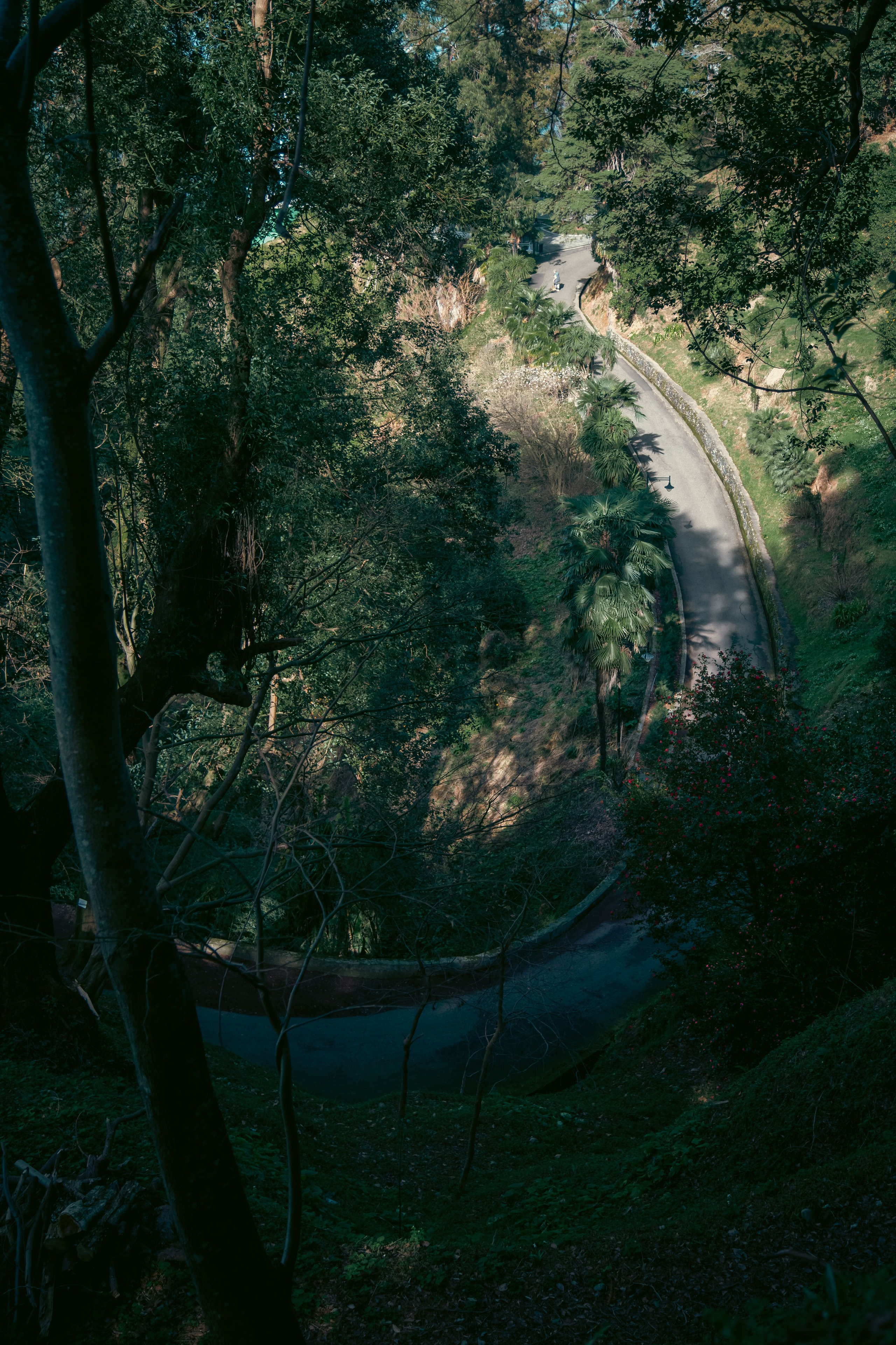 Batumi. Dmitriy [KCCC] is a pretty cool photographer